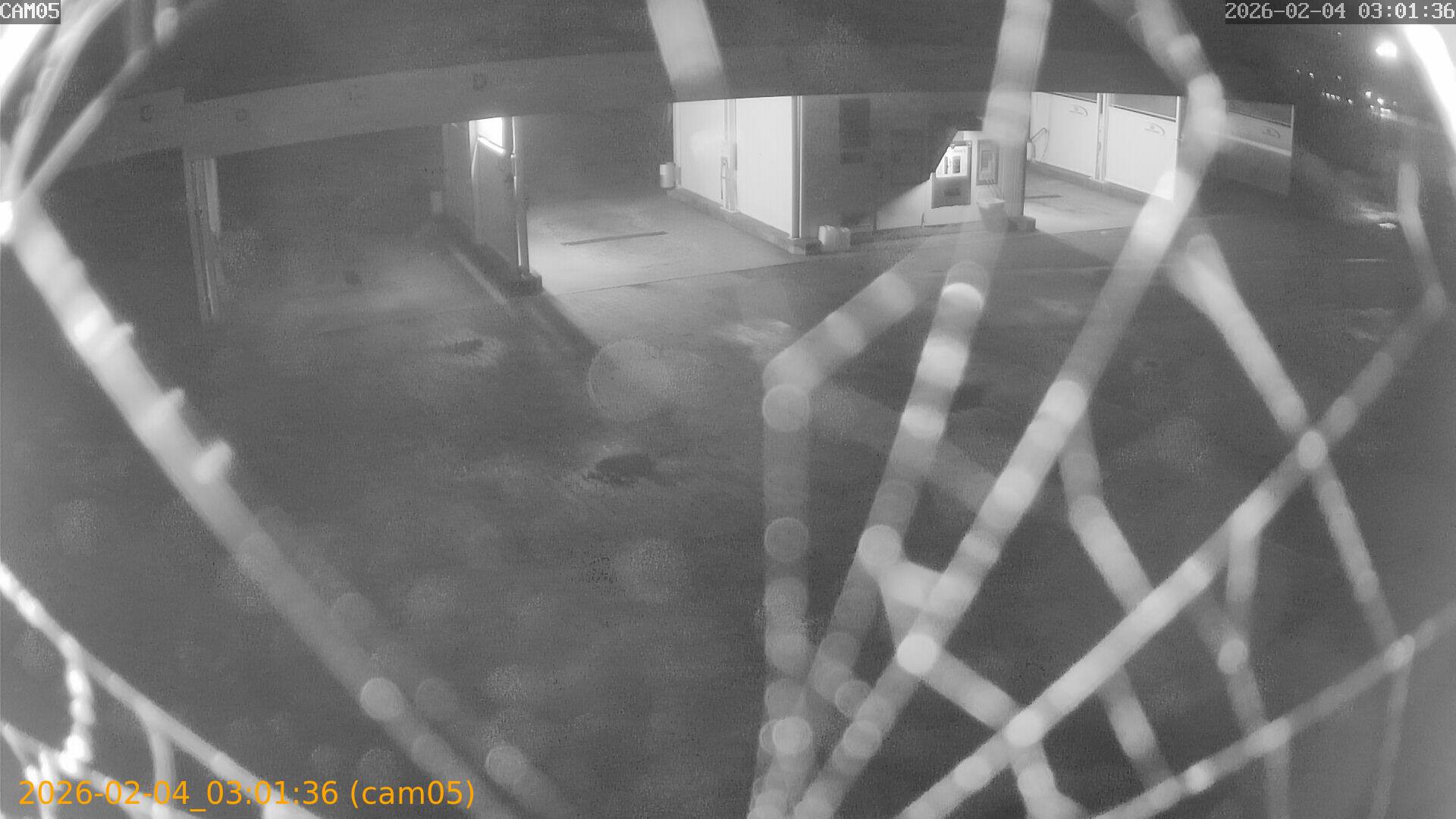 thumbnail_20260204030136