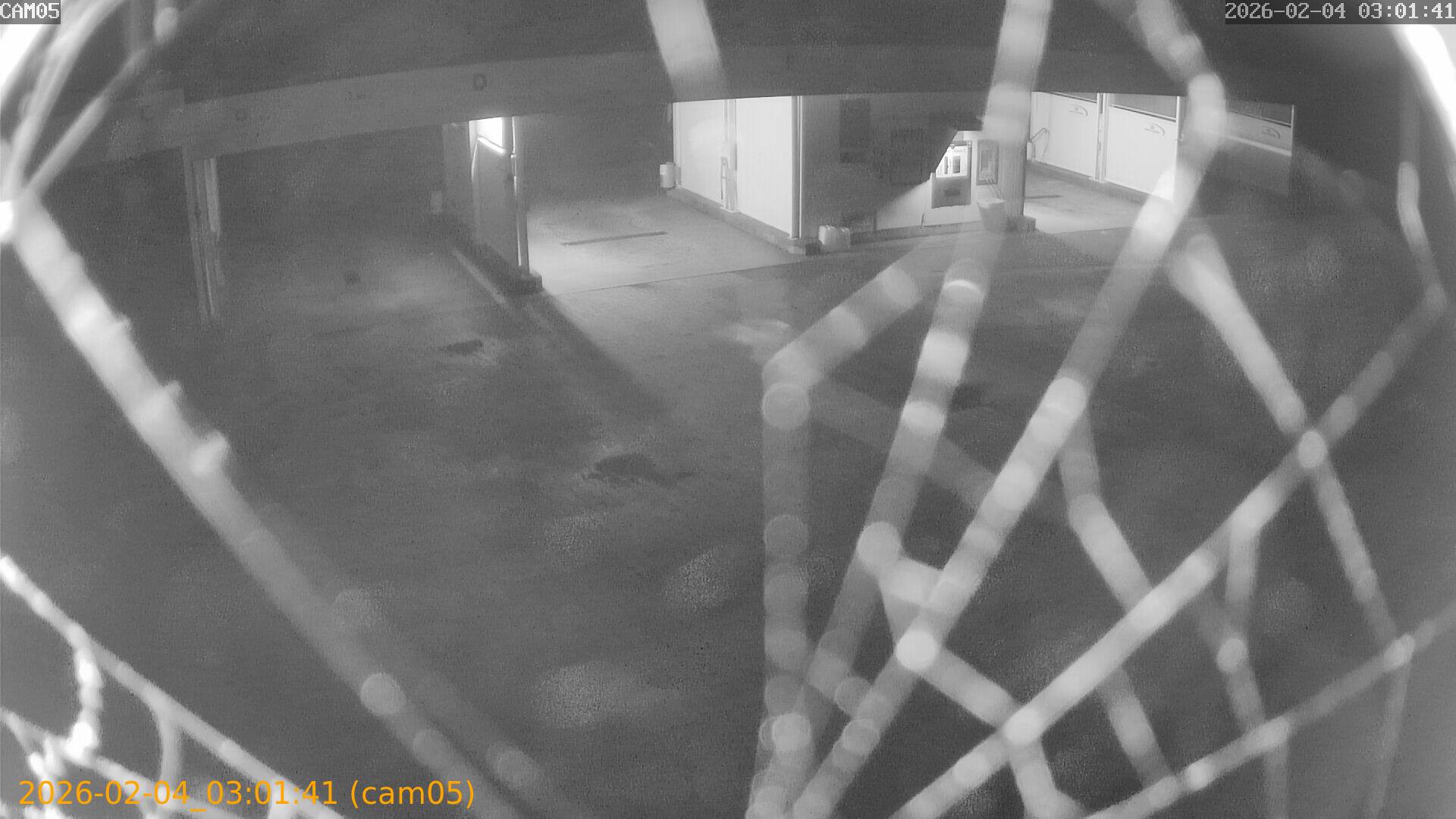 thumbnail_20260204030141