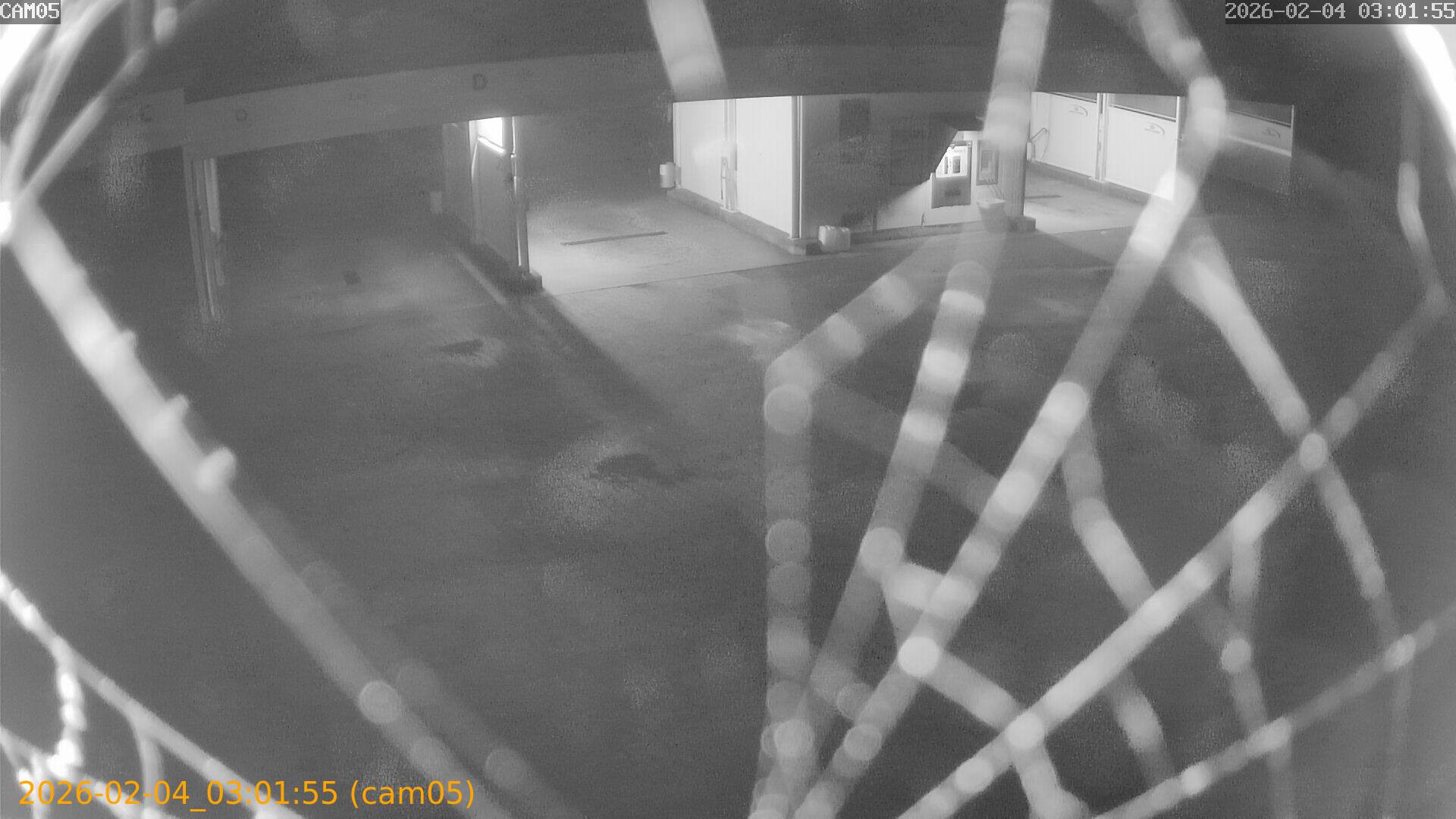 thumbnail_20260204030155