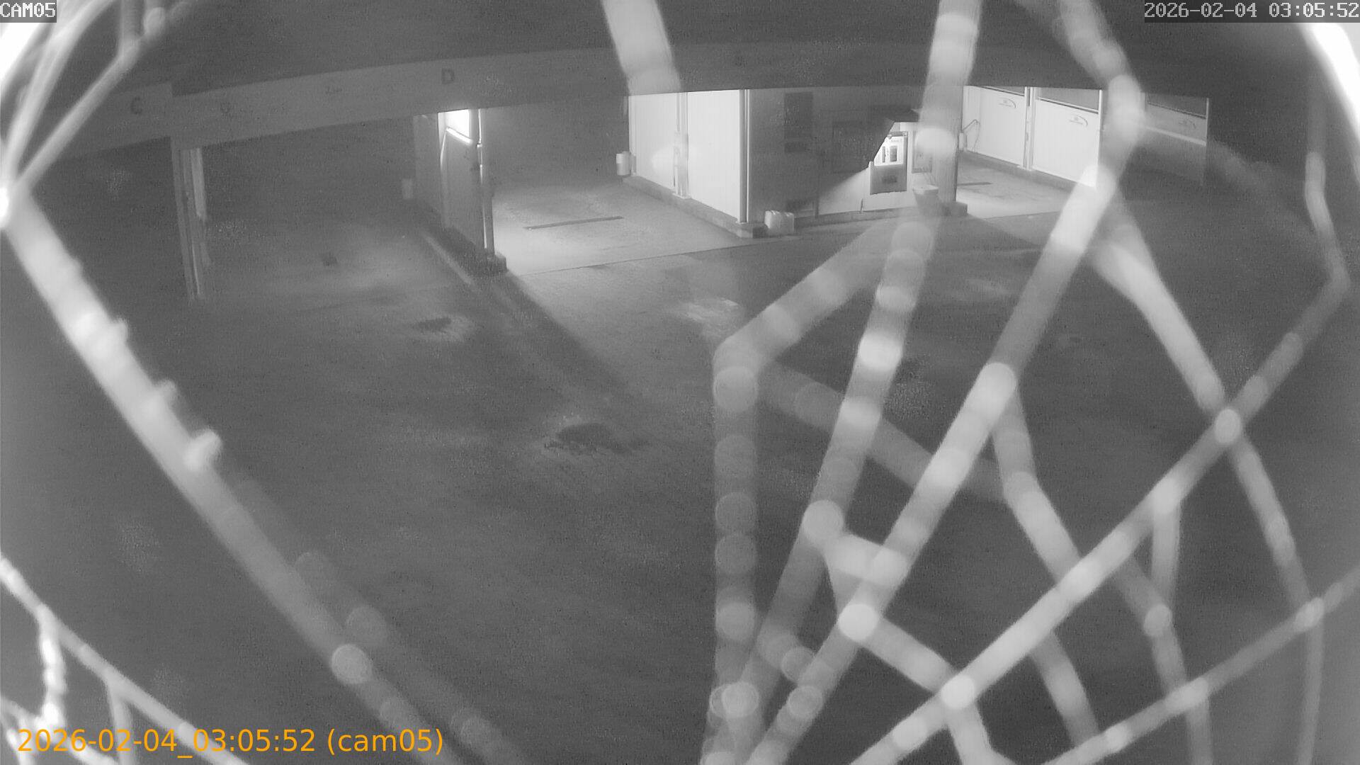 thumbnail_20260204030552