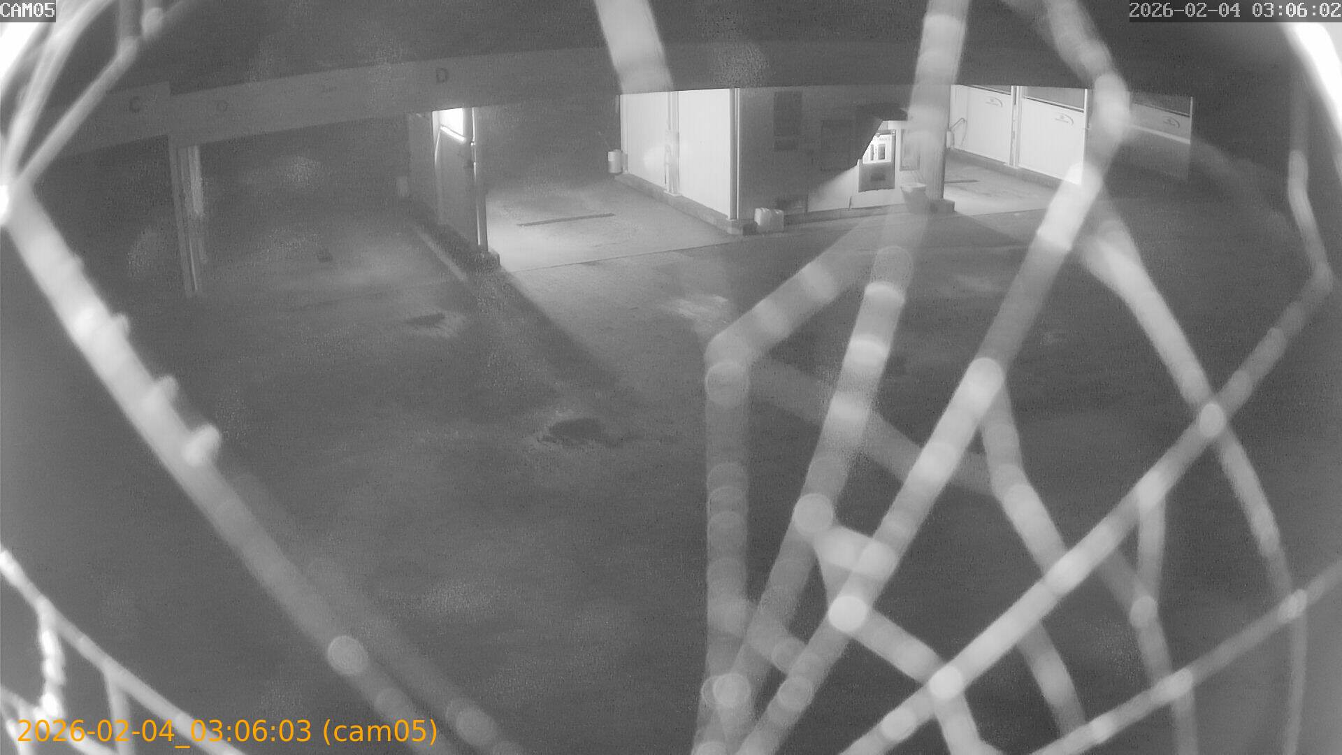 thumbnail_20260204030603