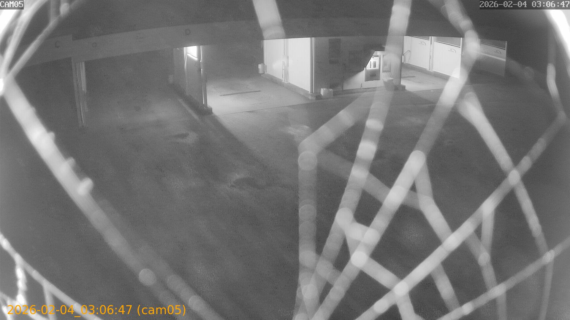 thumbnail_20260204030647