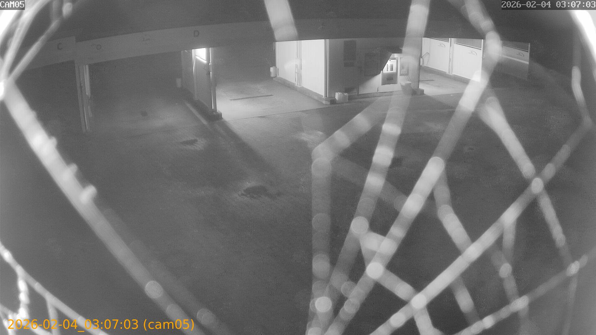 thumbnail_20260204030703