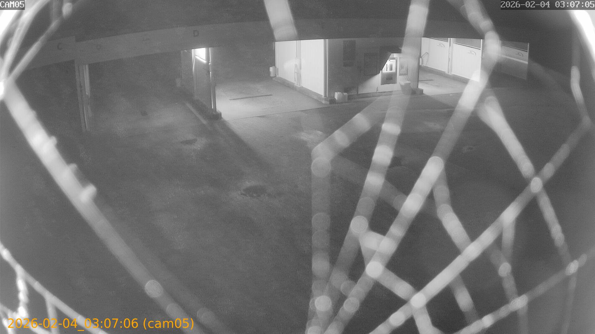 thumbnail_20260204030706