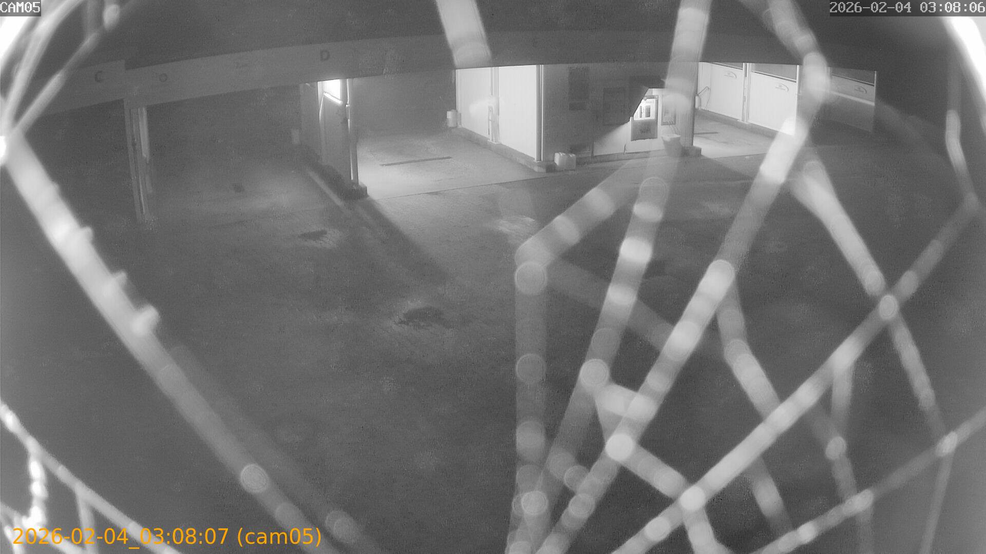 thumbnail_20260204030807