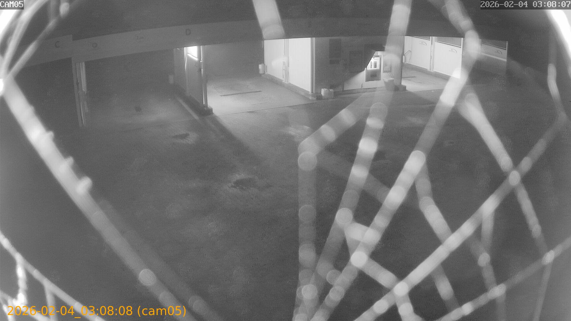 thumbnail_20260204030808