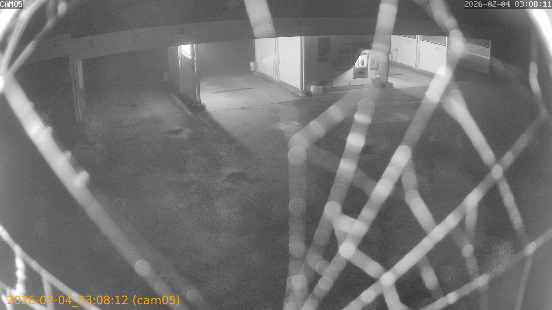 thumbnail_20260204030812