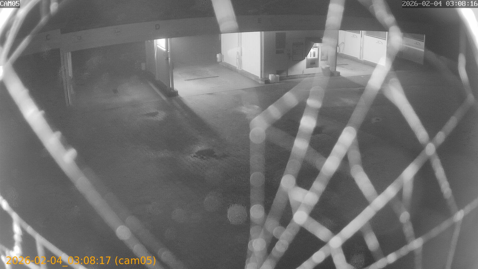 thumbnail_20260204030817