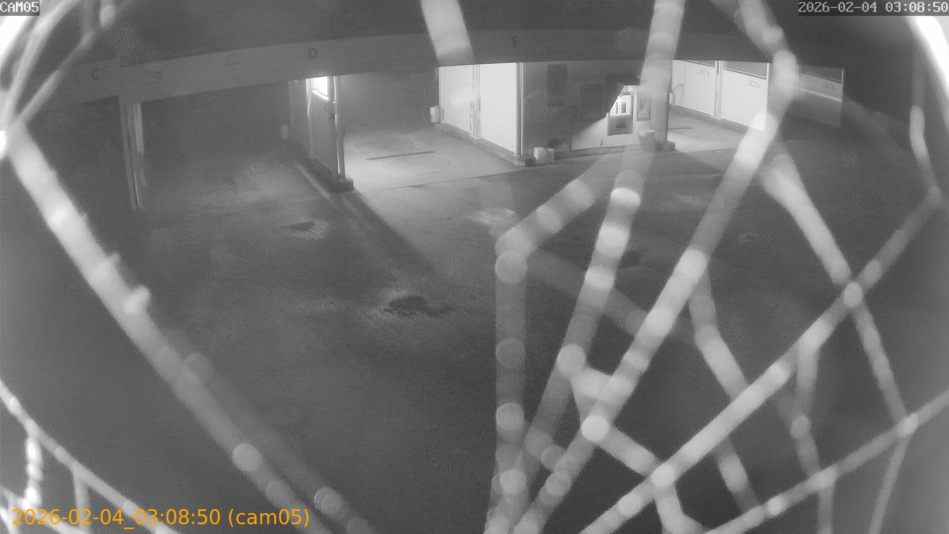 thumbnail_20260204030850