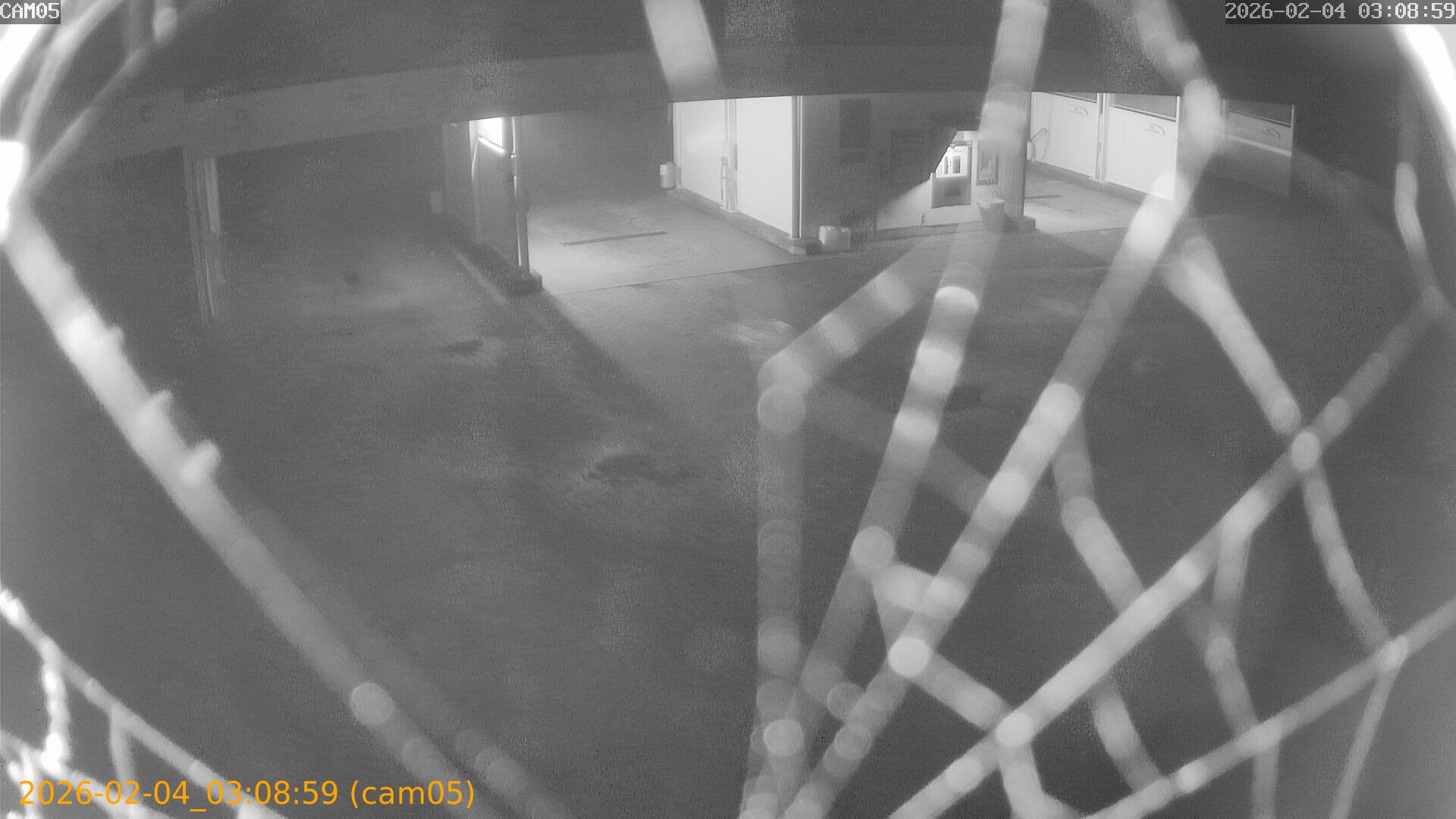 thumbnail_20260204030859