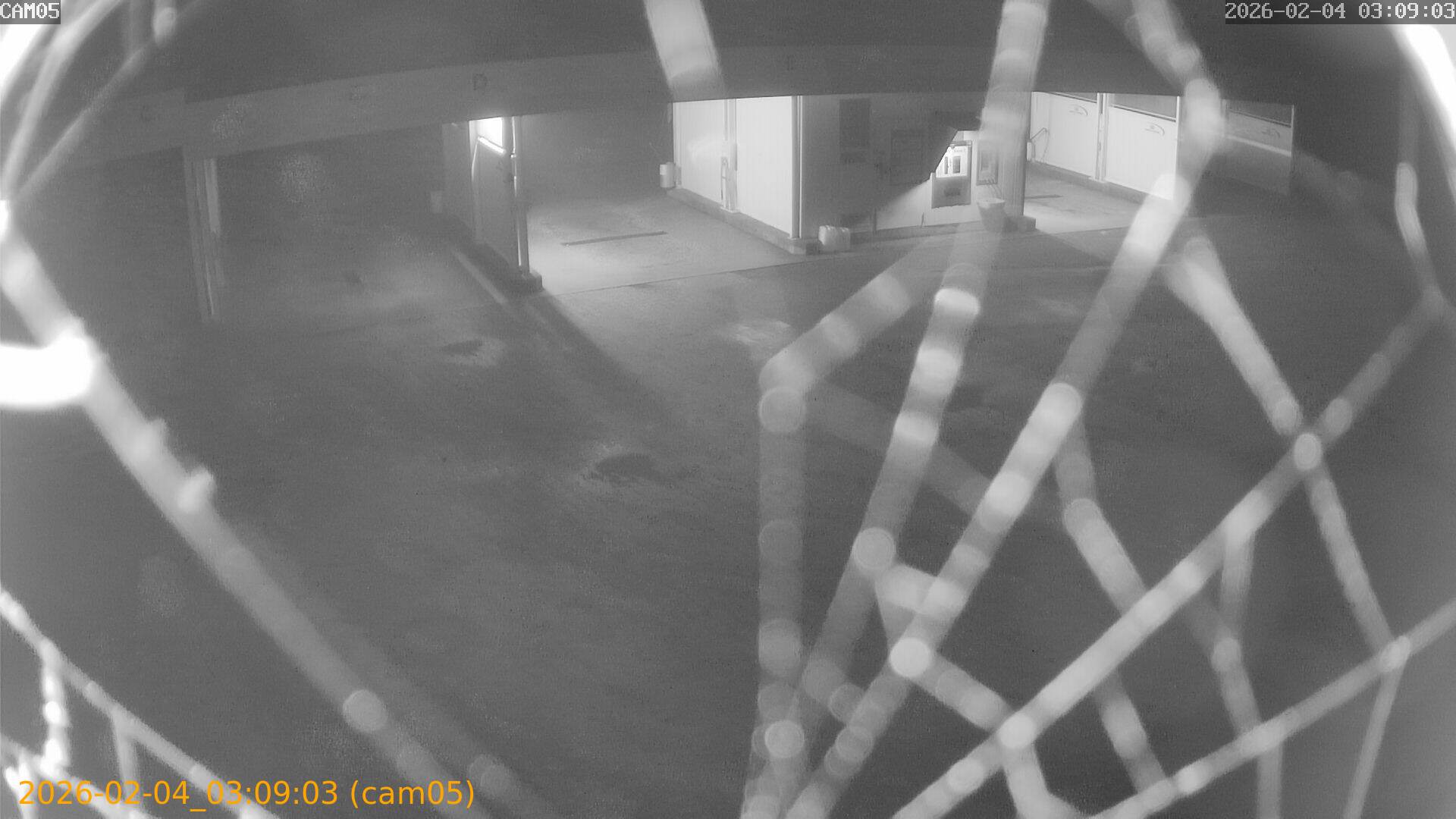 thumbnail_20260204030903