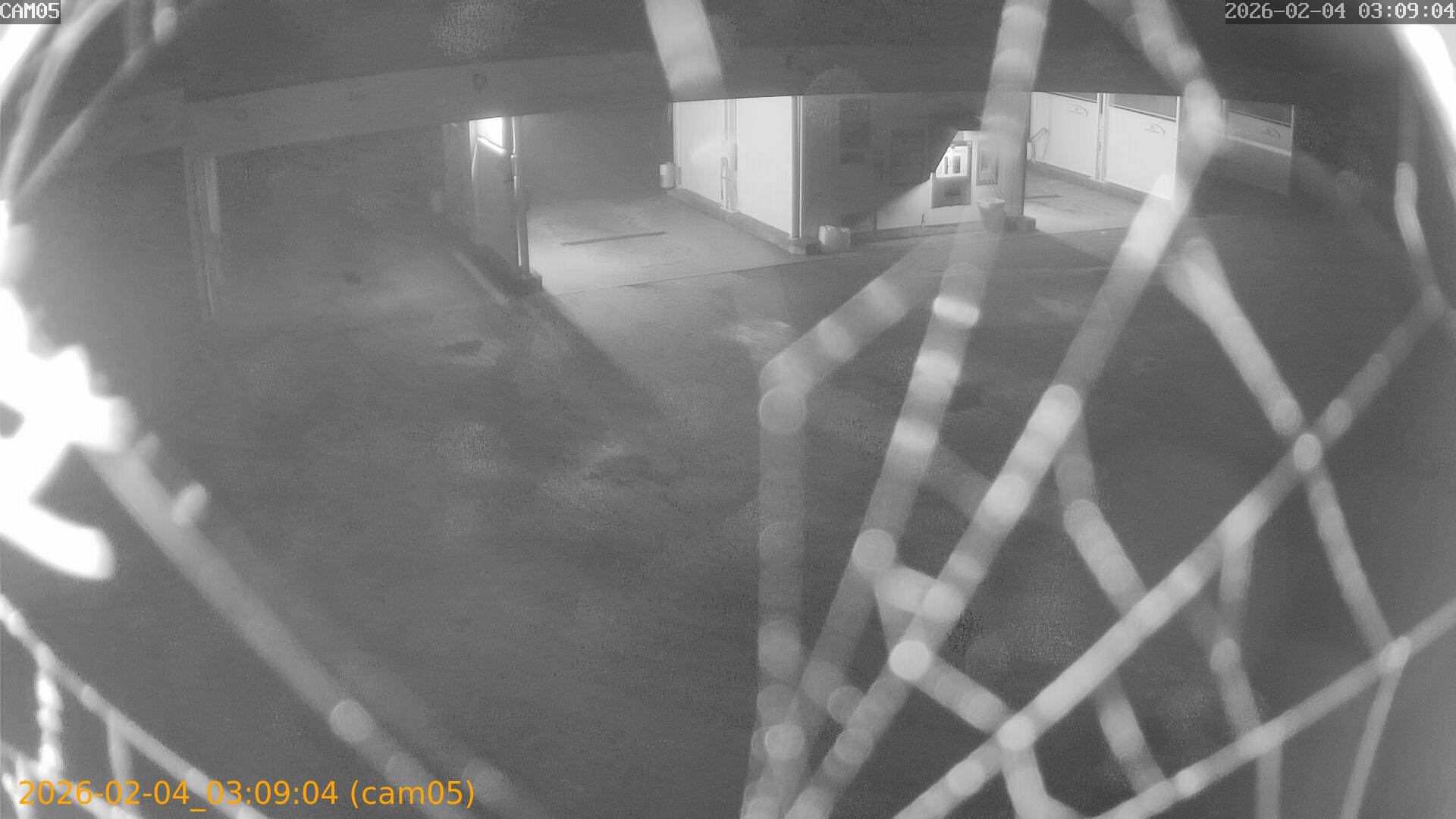 thumbnail_20260204030904