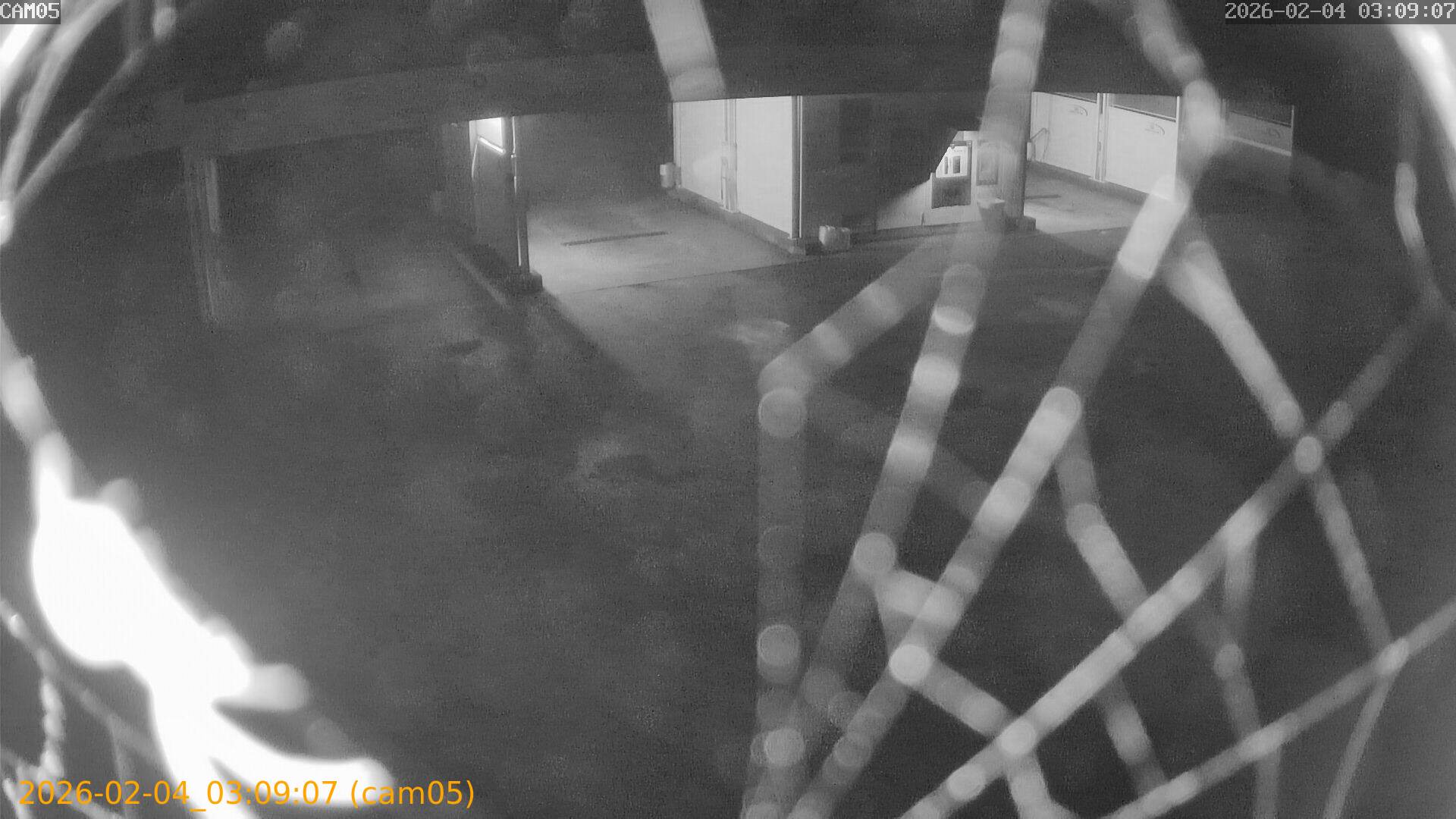 thumbnail_20260204030907