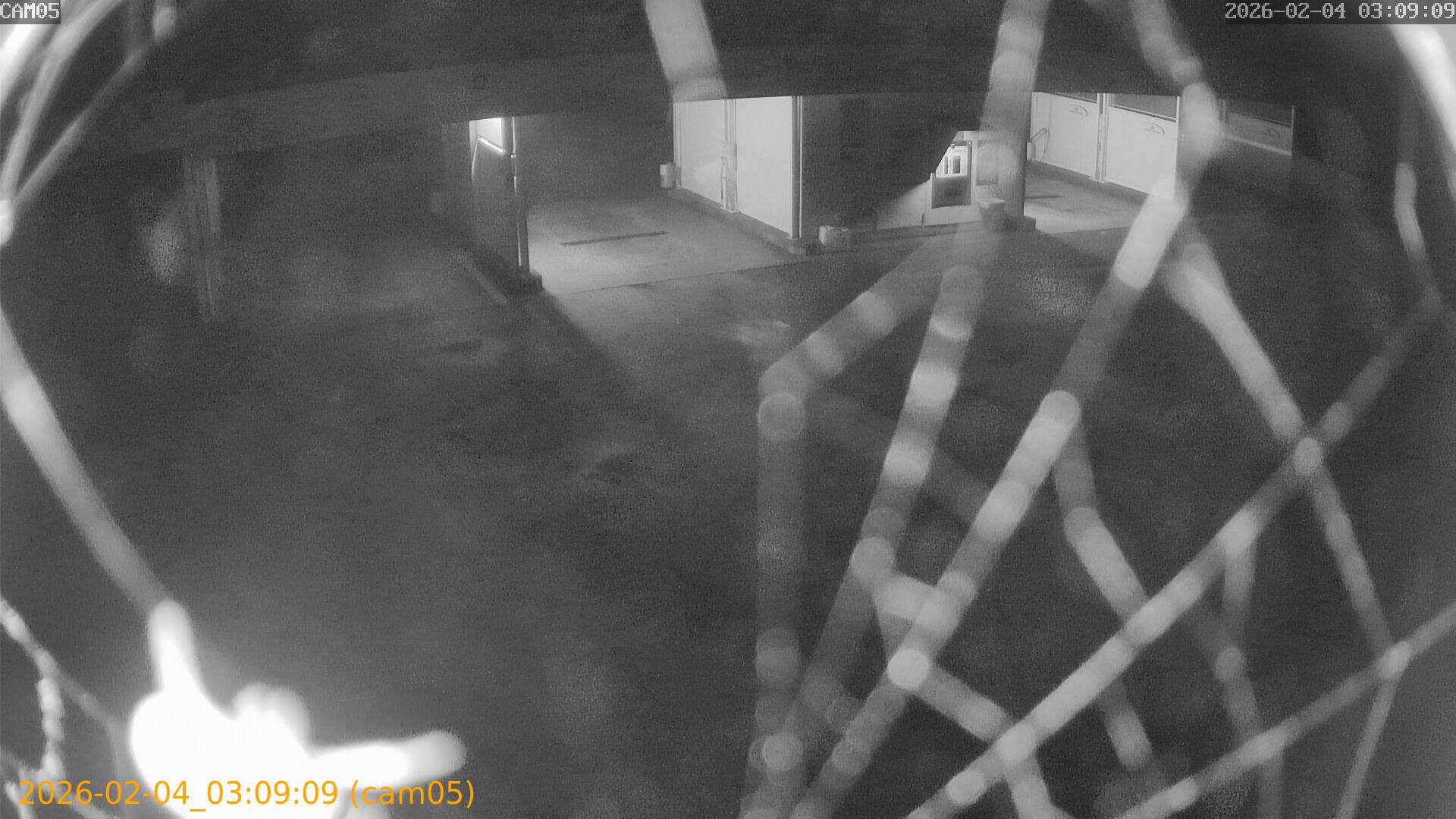 thumbnail_20260204030909