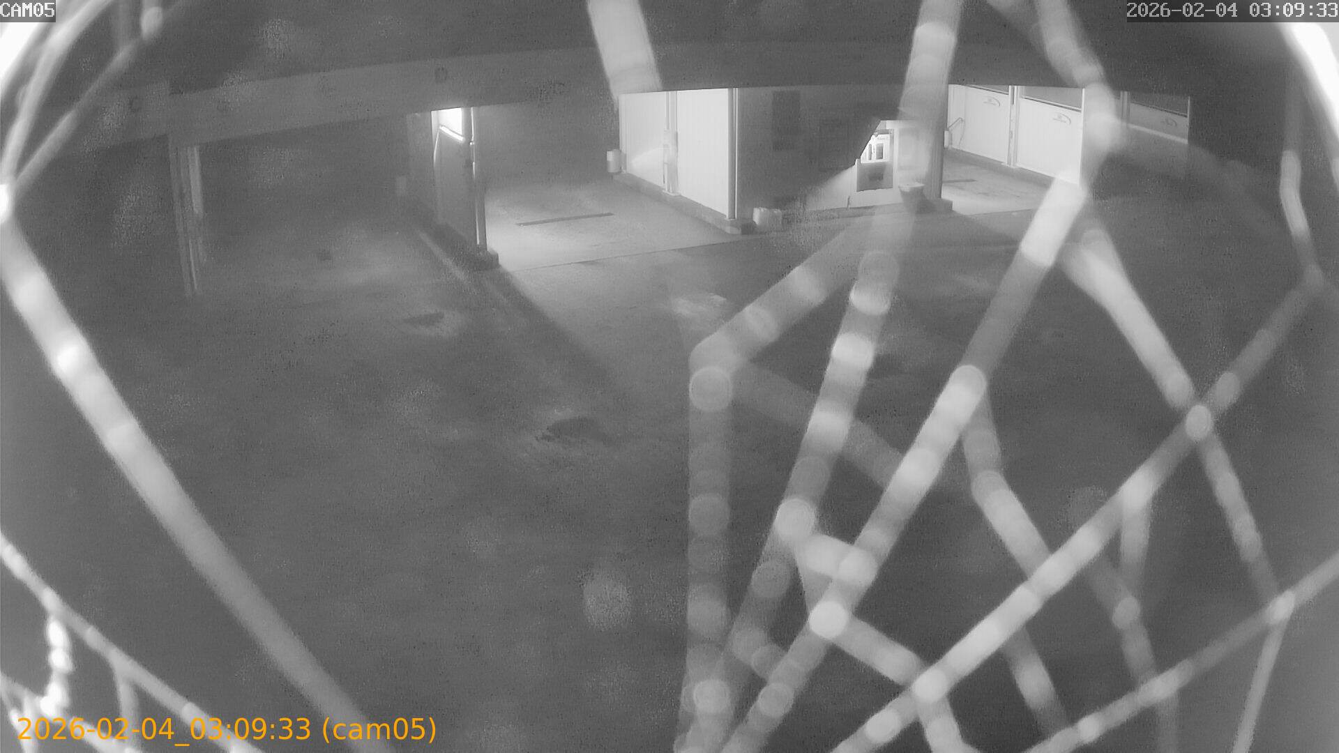 thumbnail_20260204030933