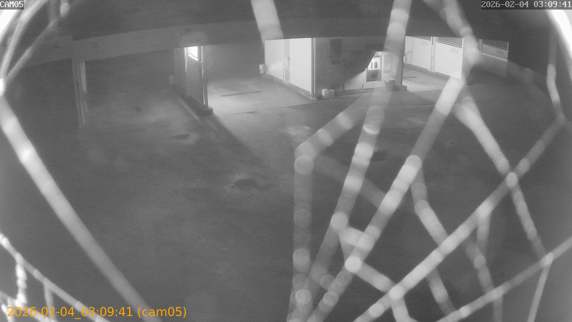 thumbnail_20260204030941