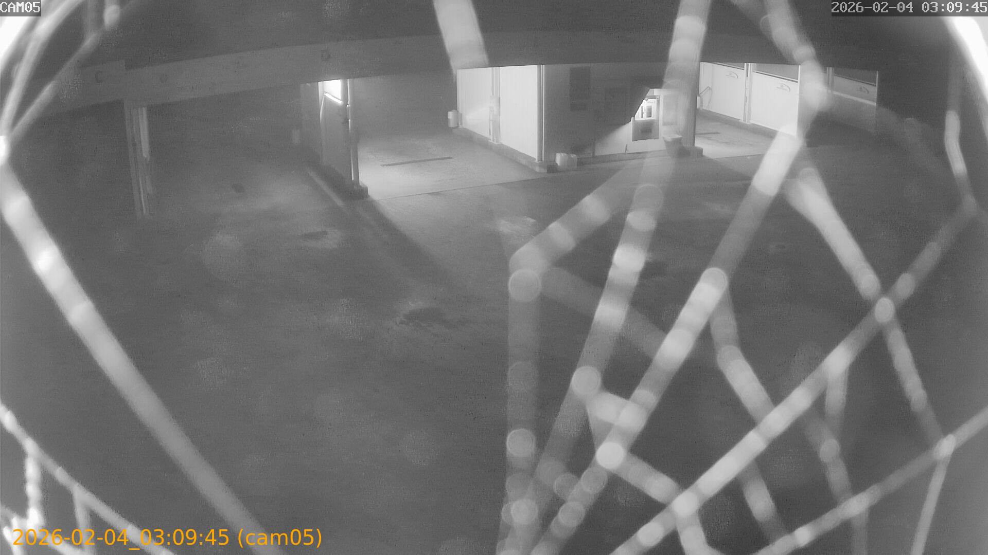 thumbnail_20260204030945