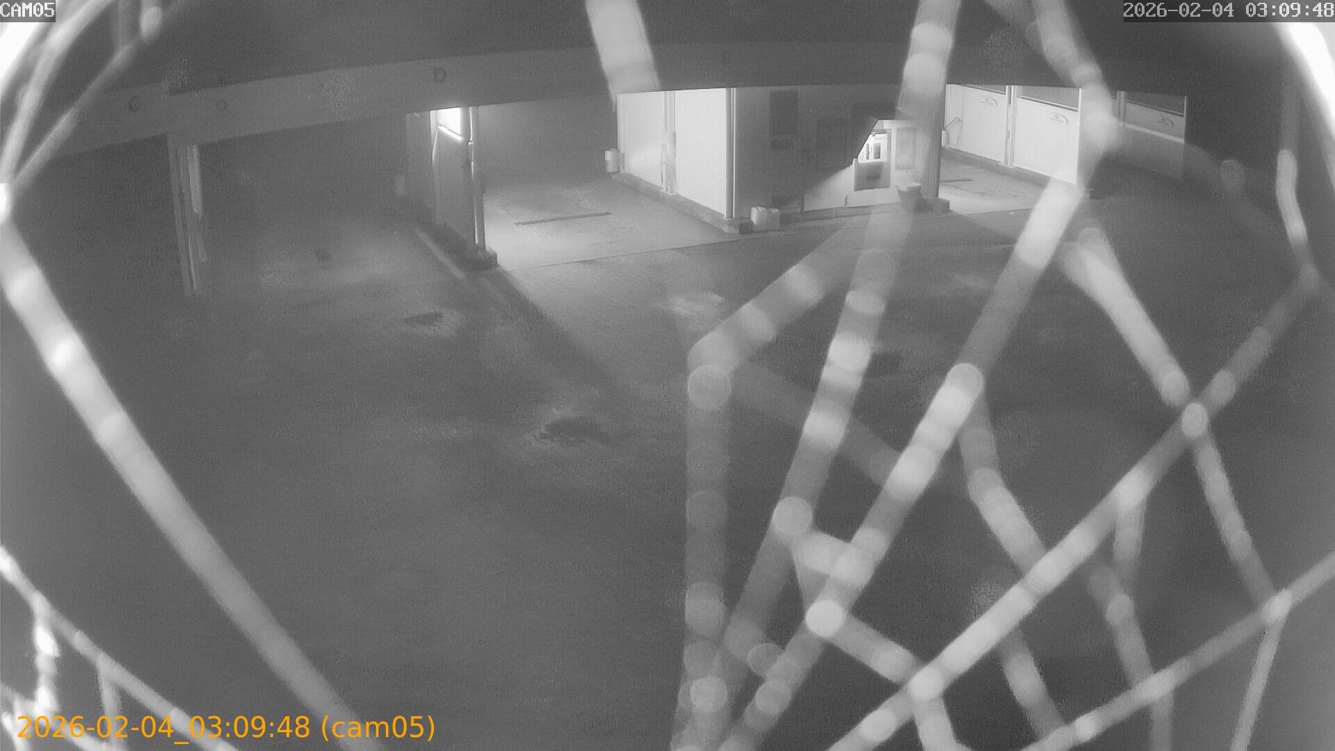 thumbnail_20260204030948