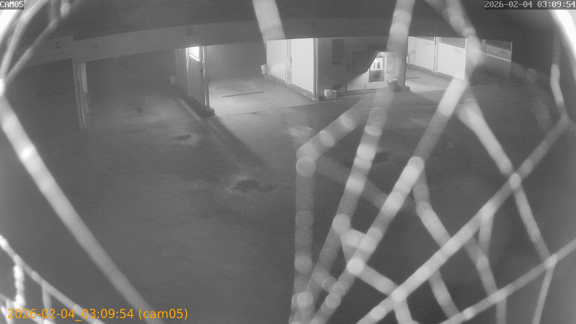 thumbnail_20260204030954