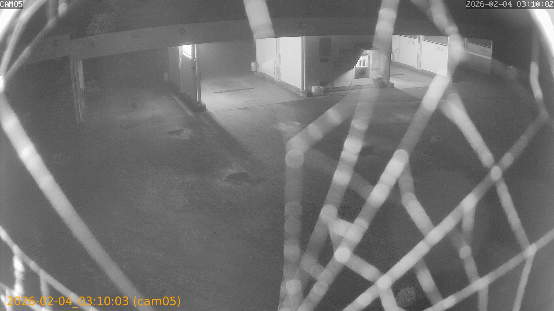 thumbnail_20260204031003