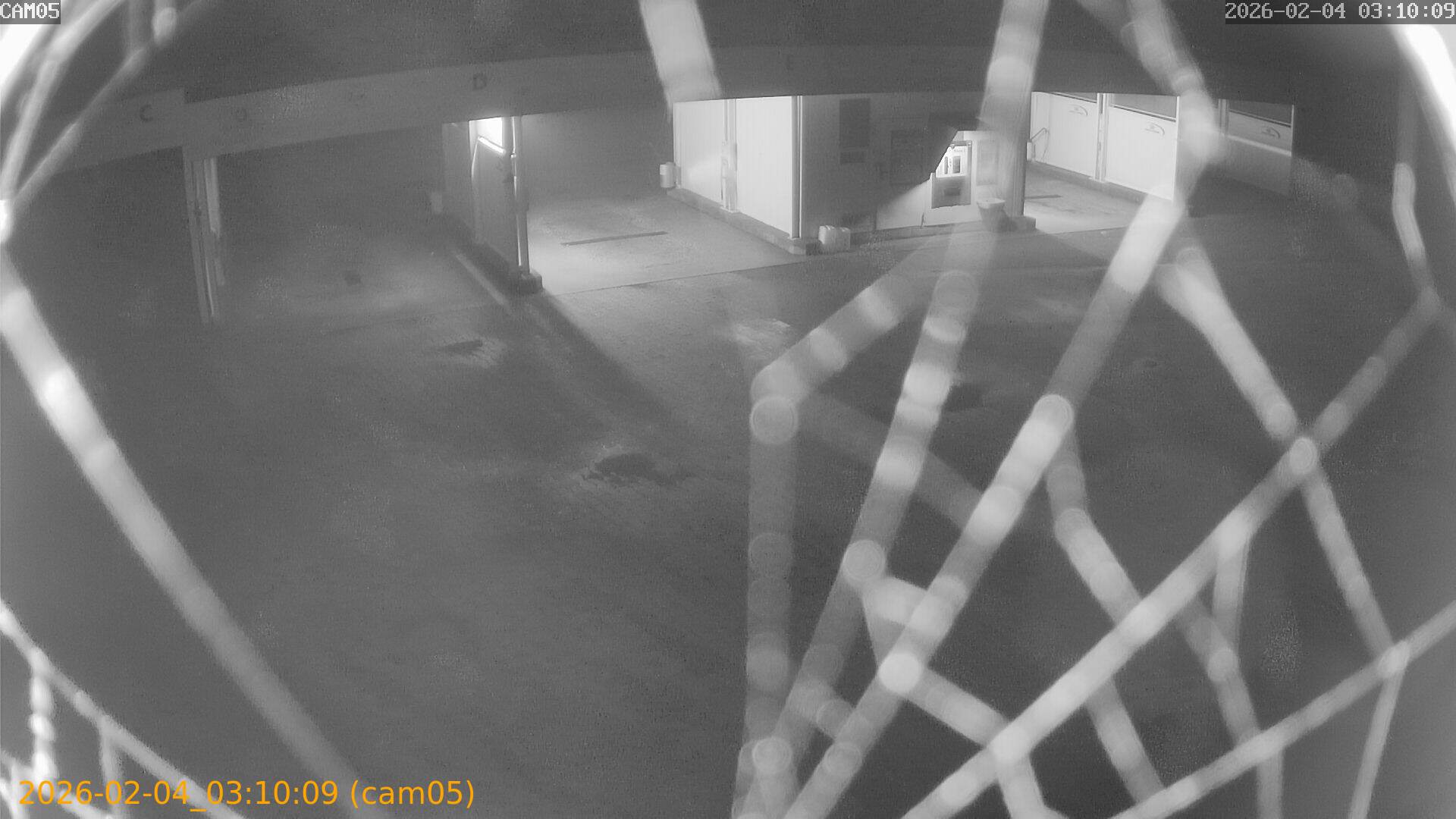 thumbnail_20260204031009