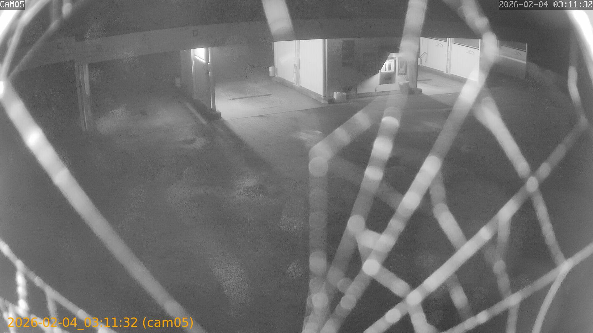 thumbnail_20260204031132