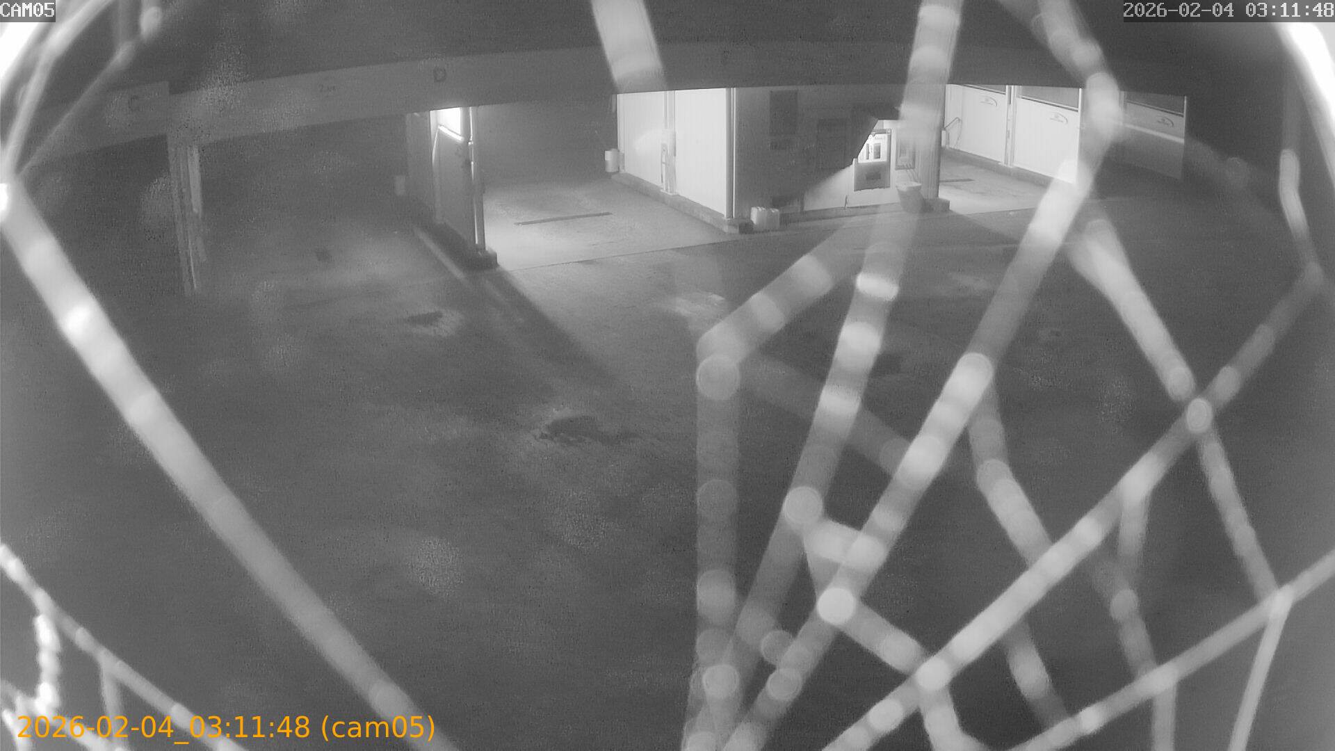 thumbnail_20260204031148