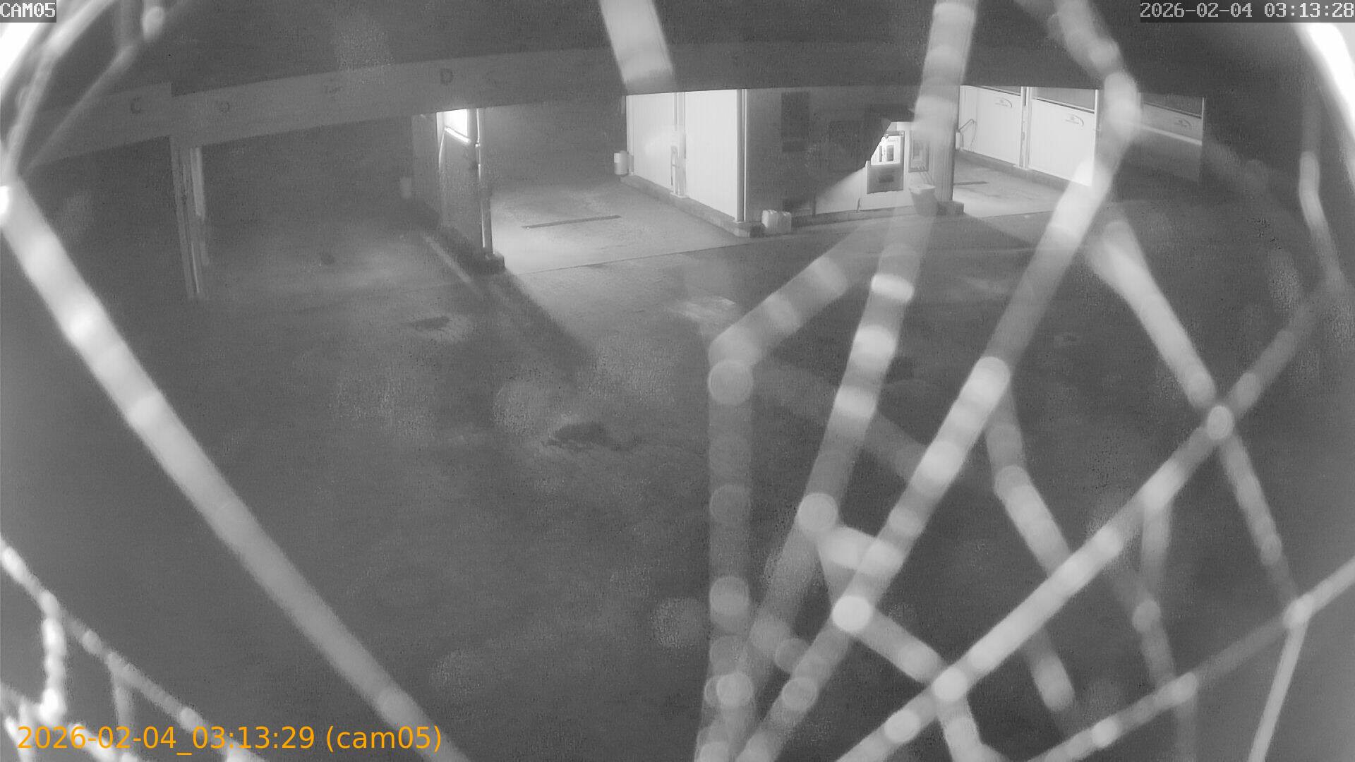 thumbnail_20260204031329