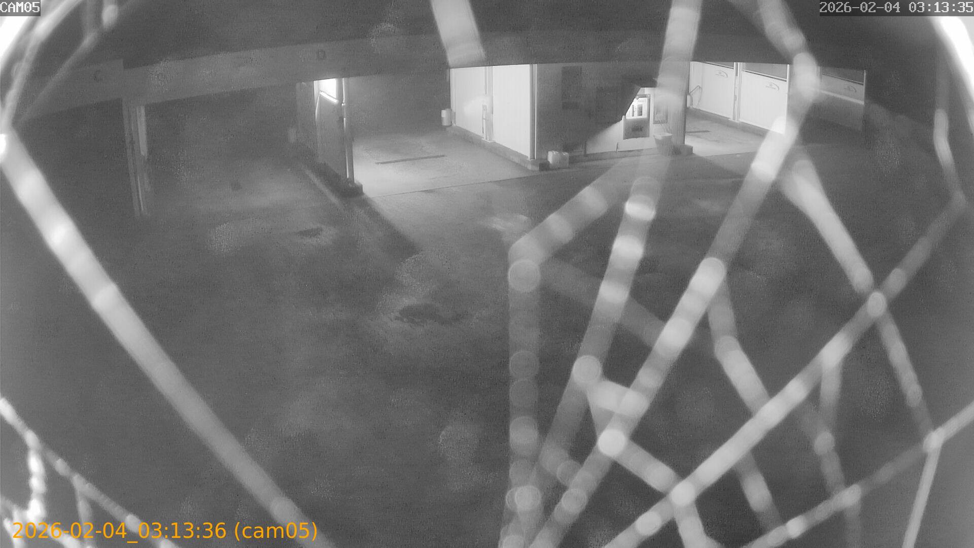 thumbnail_20260204031336