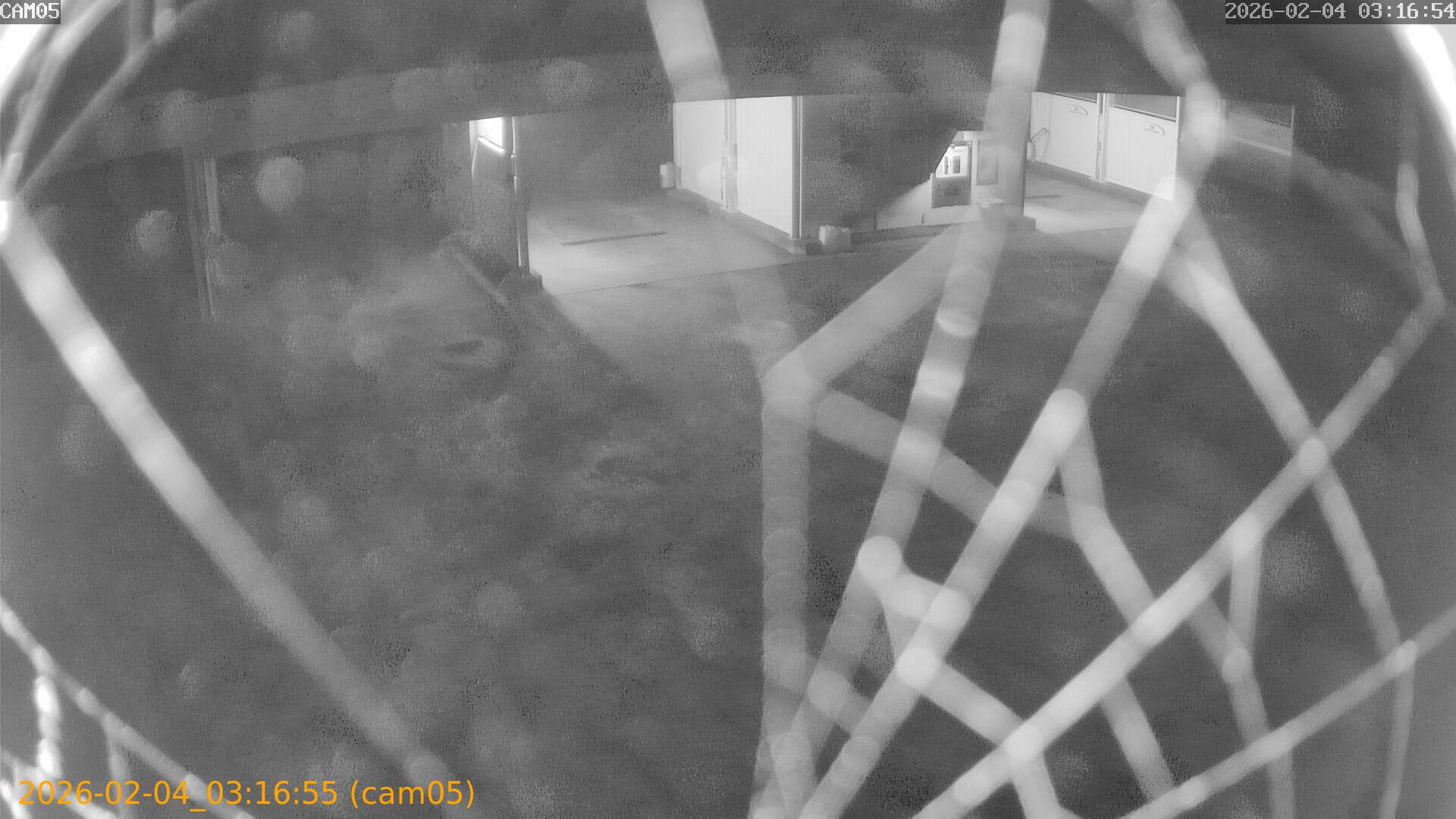 thumbnail_20260204031655