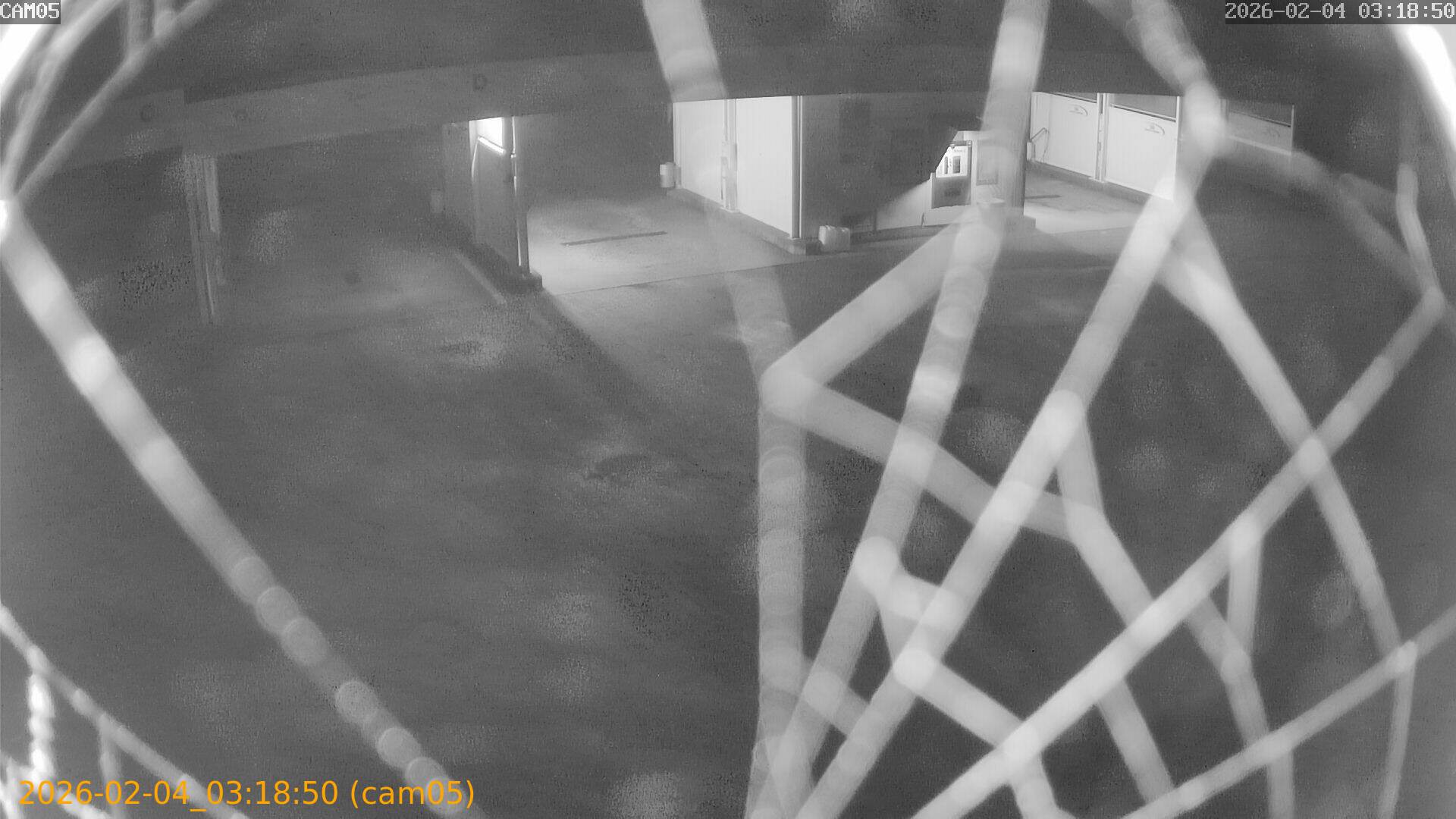 thumbnail_20260204031850