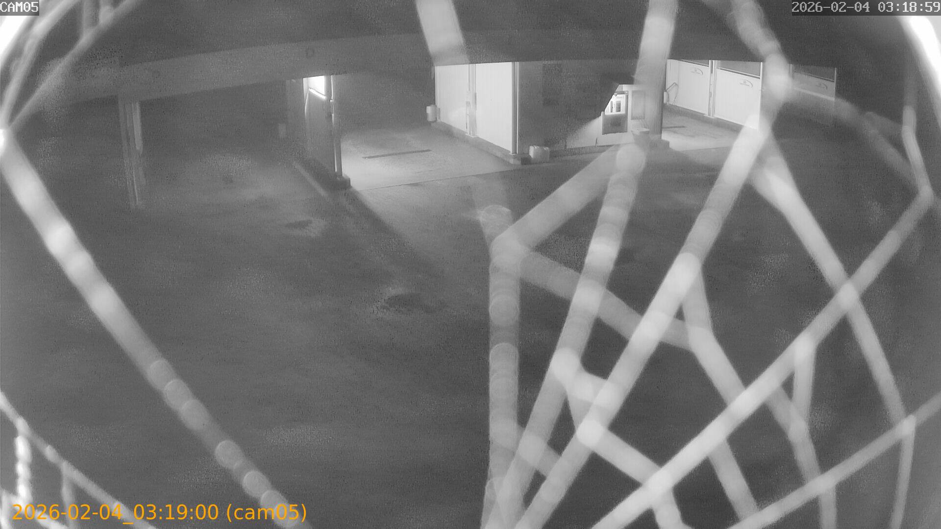 thumbnail_20260204031900