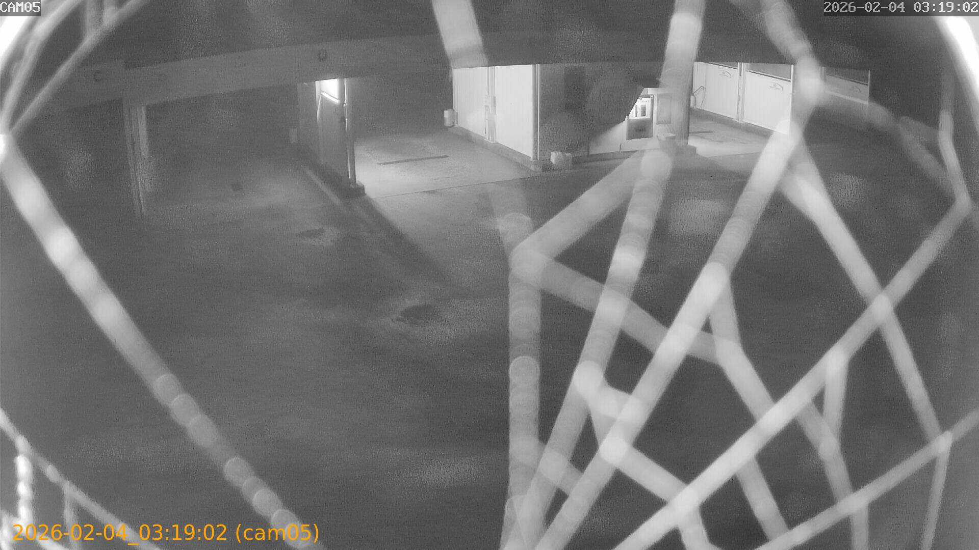 thumbnail_20260204031902