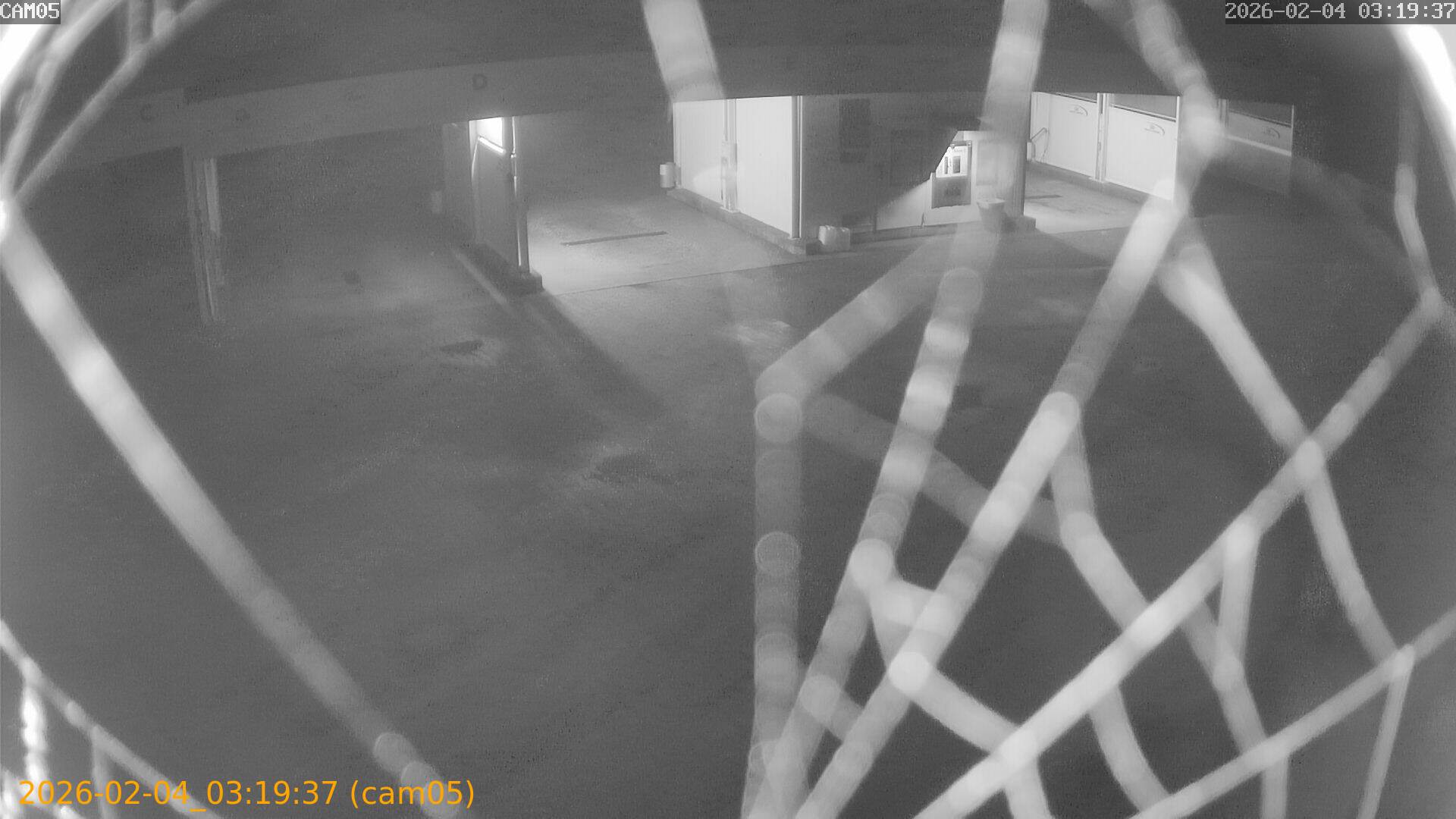 thumbnail_20260204031937