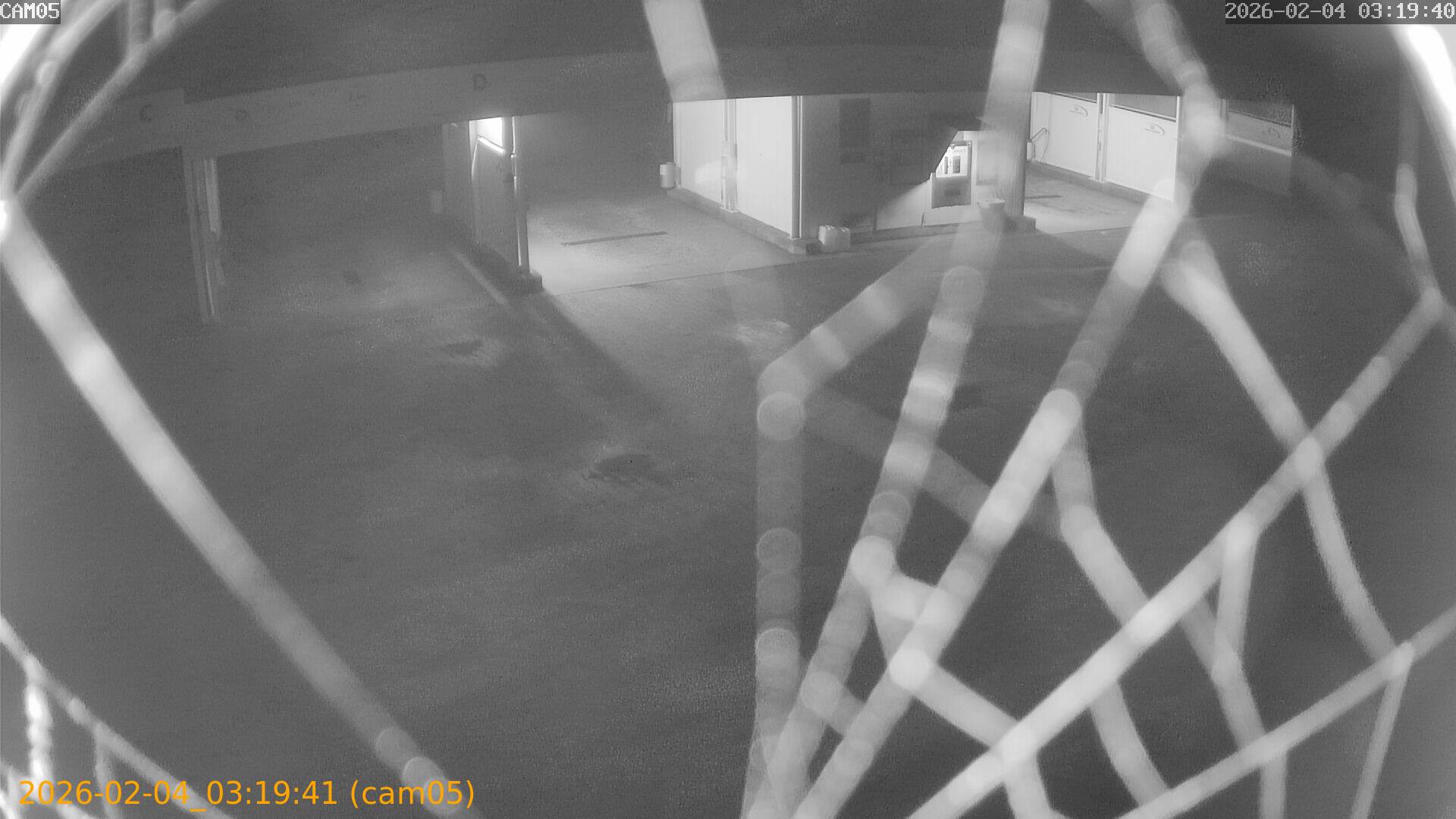 thumbnail_20260204031941