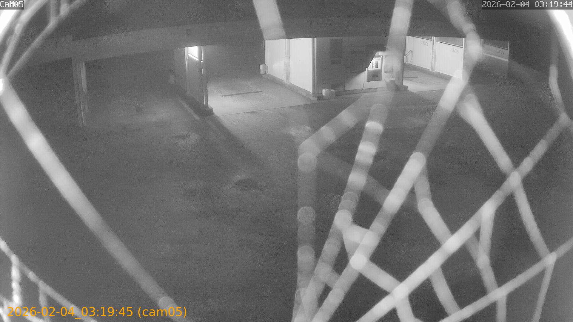 thumbnail_20260204031945