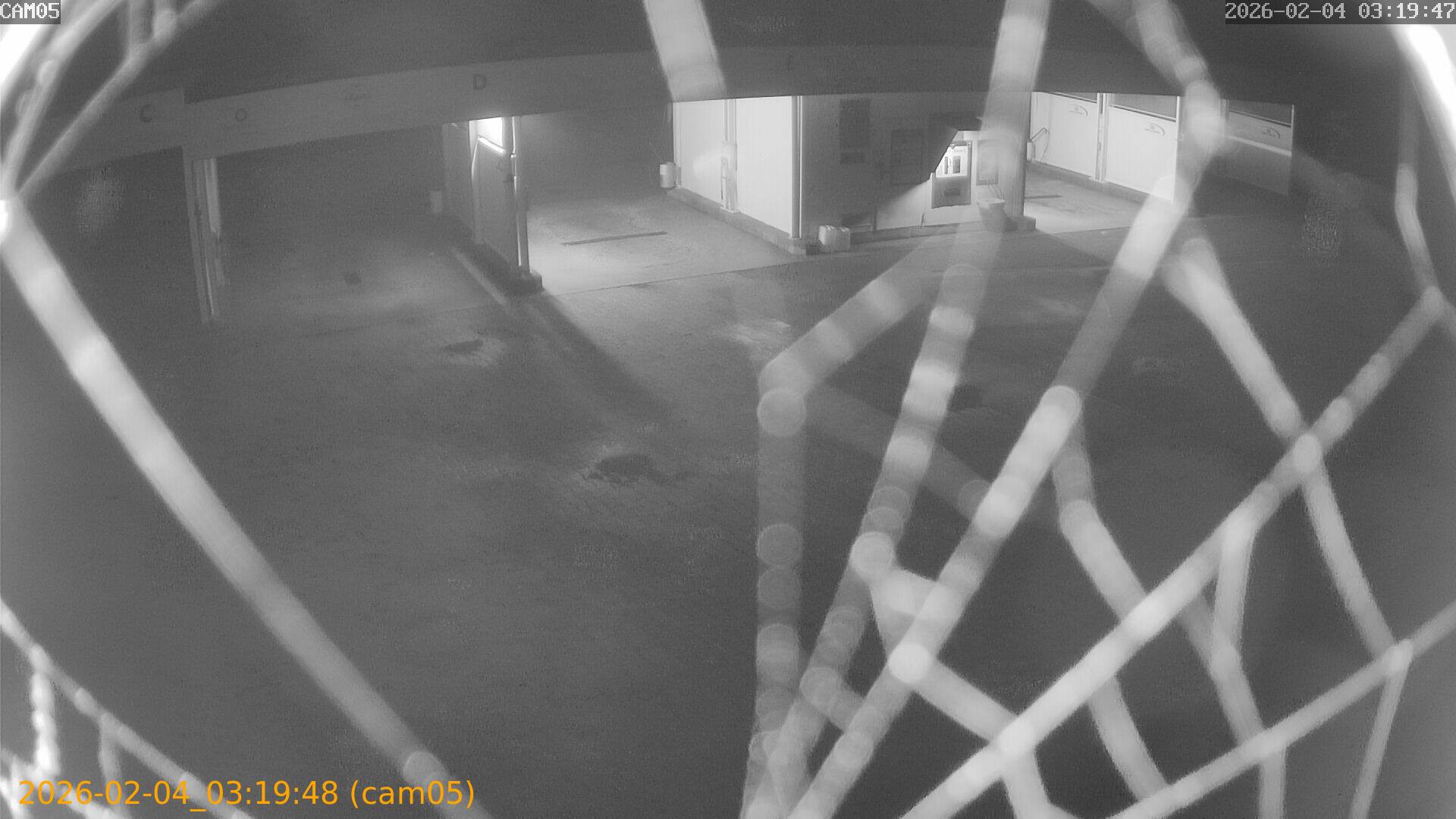 thumbnail_20260204031948