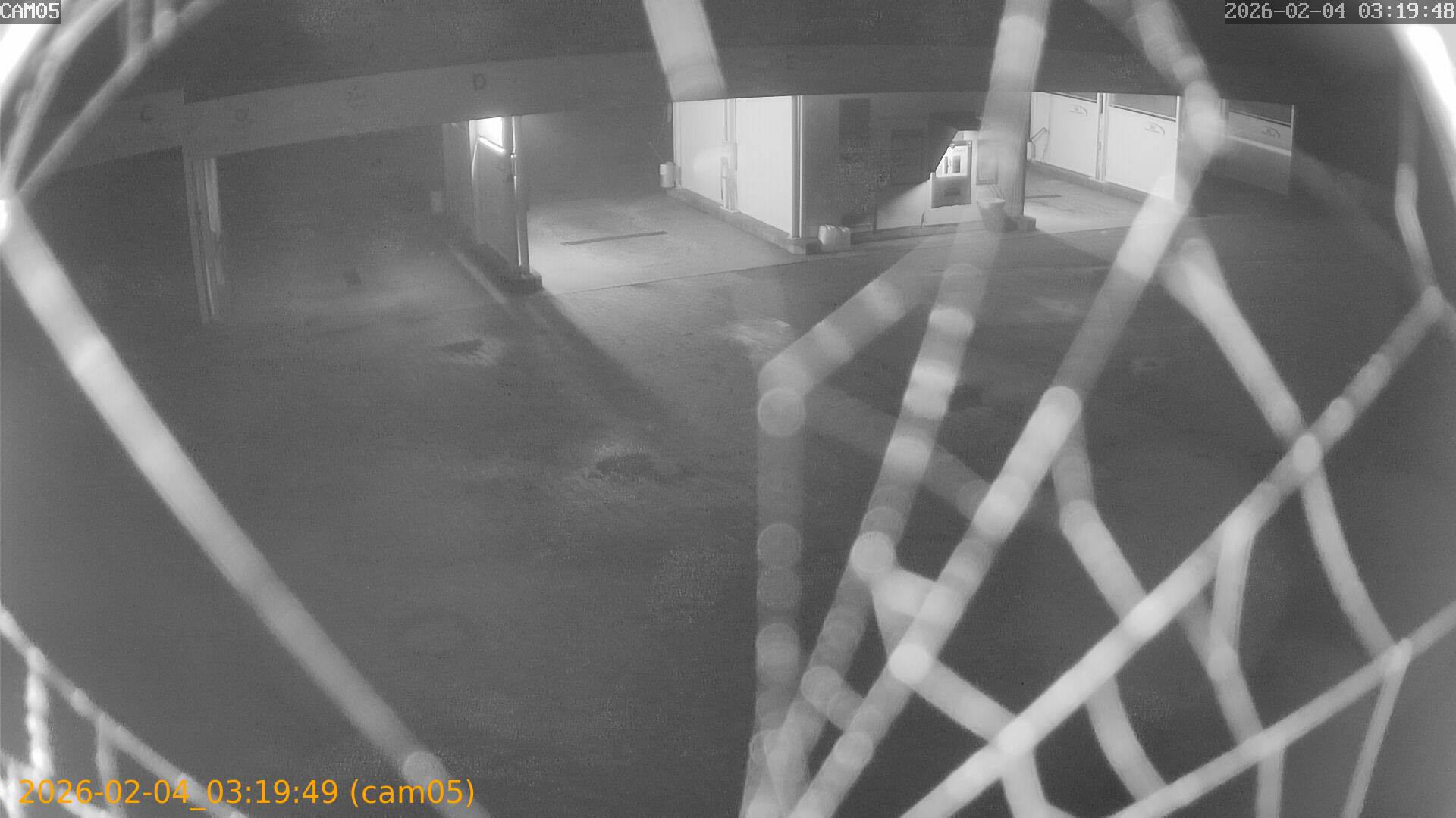 thumbnail_20260204031949