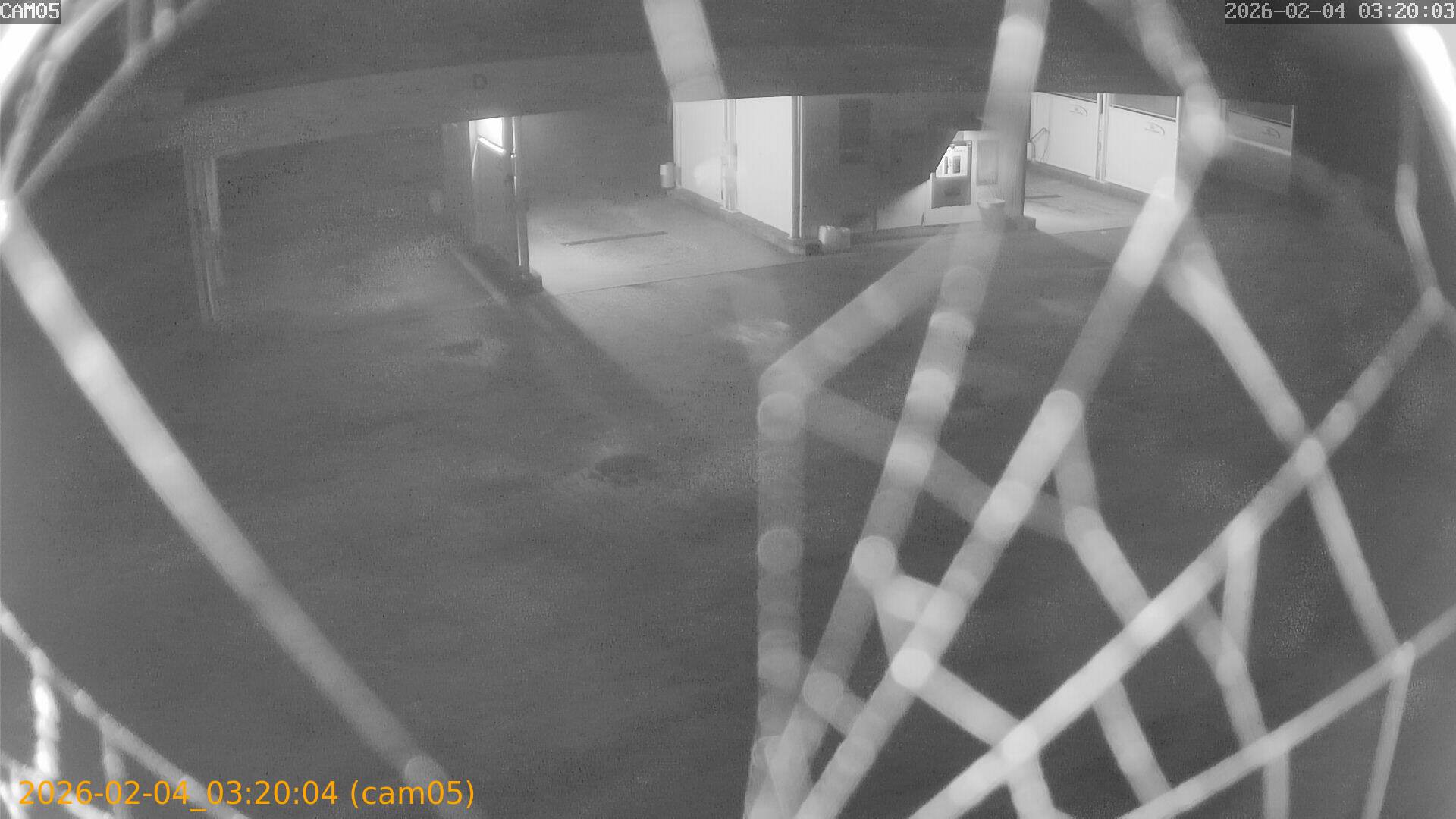 thumbnail_20260204032004