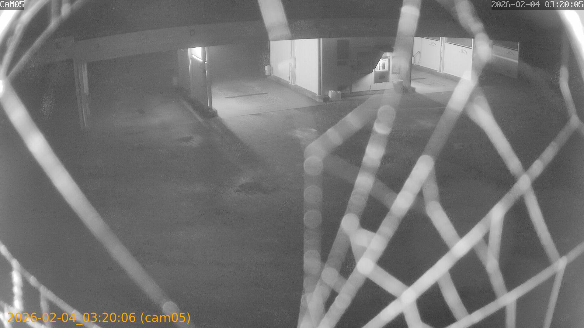 thumbnail_20260204032006