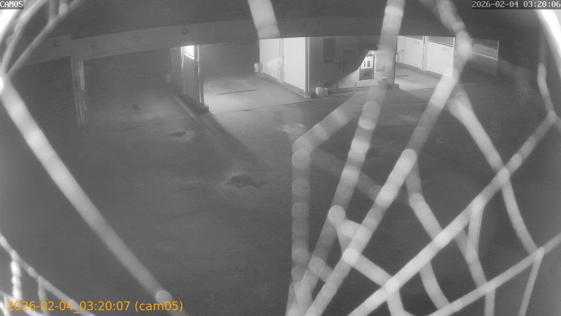 thumbnail_20260204032007