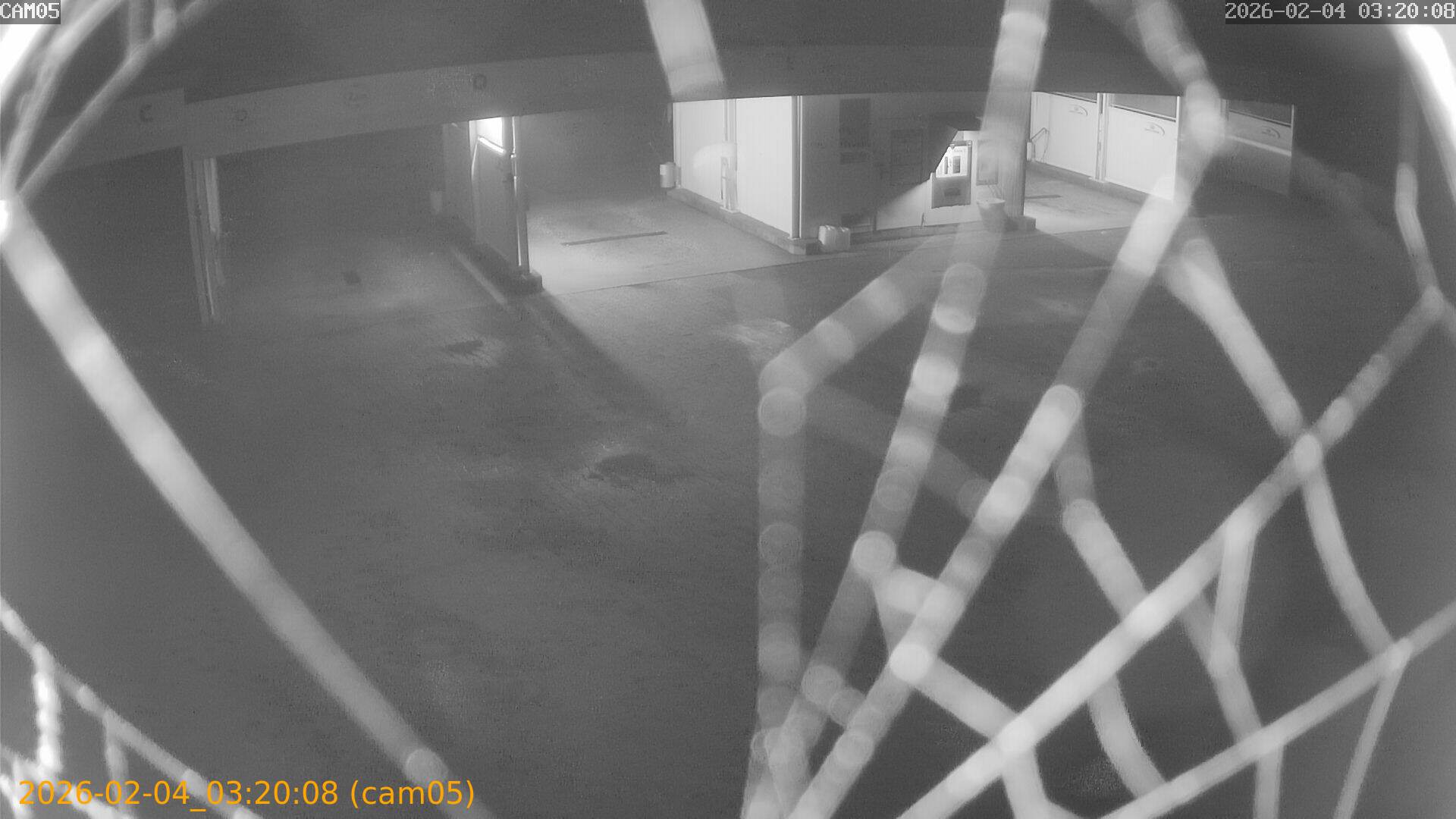 thumbnail_20260204032008