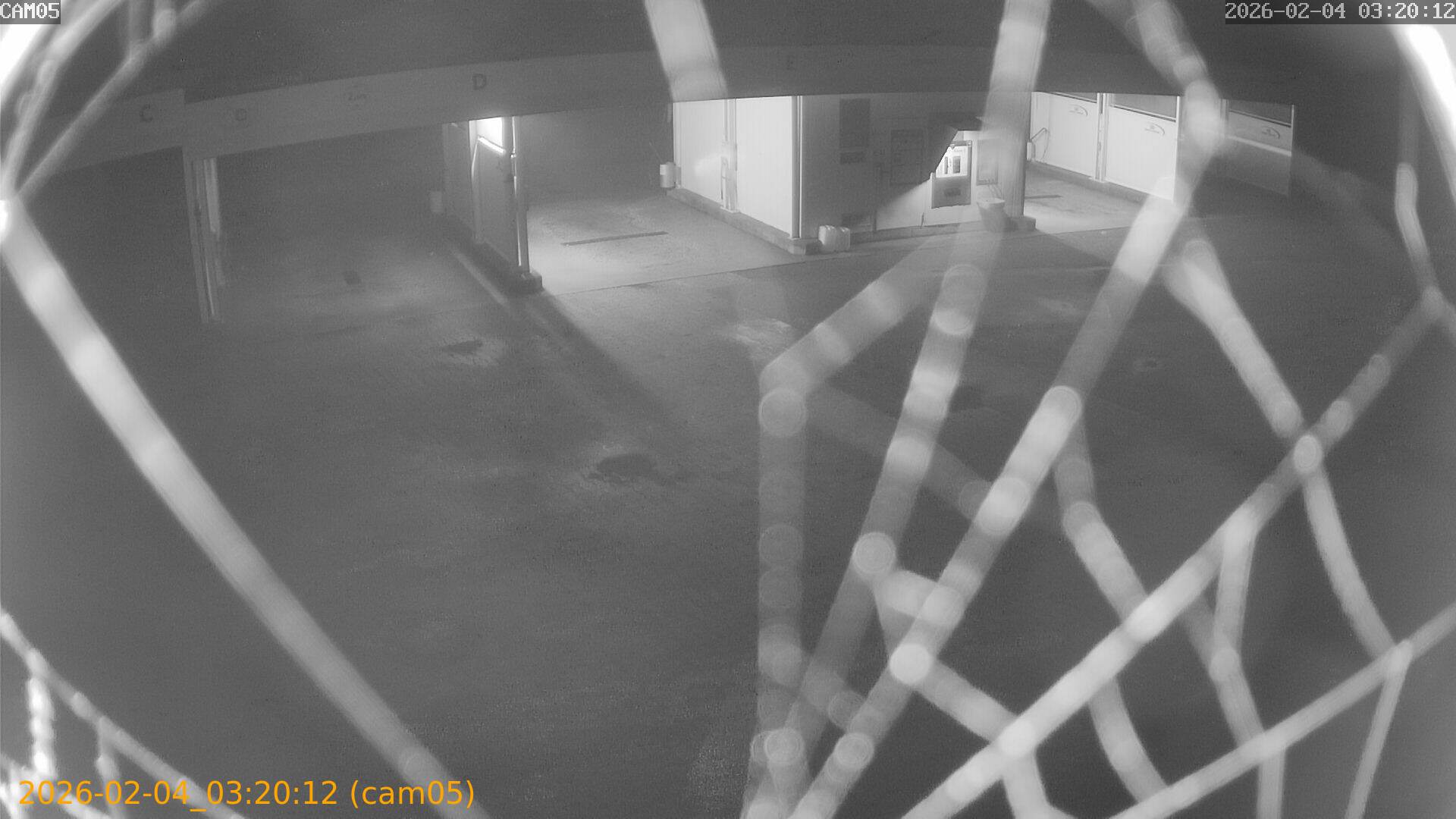 thumbnail_20260204032012