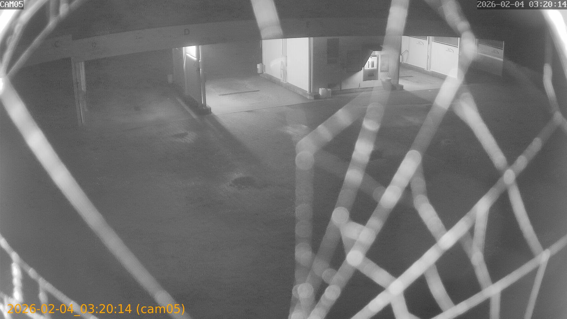 thumbnail_20260204032014