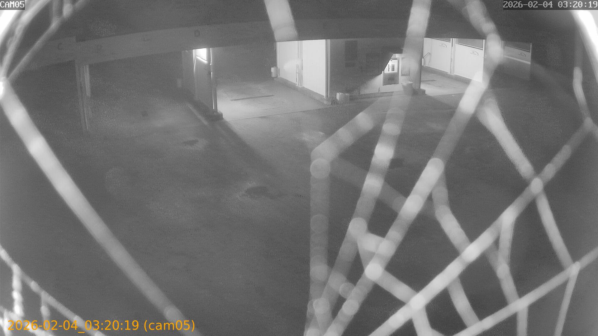 thumbnail_20260204032019