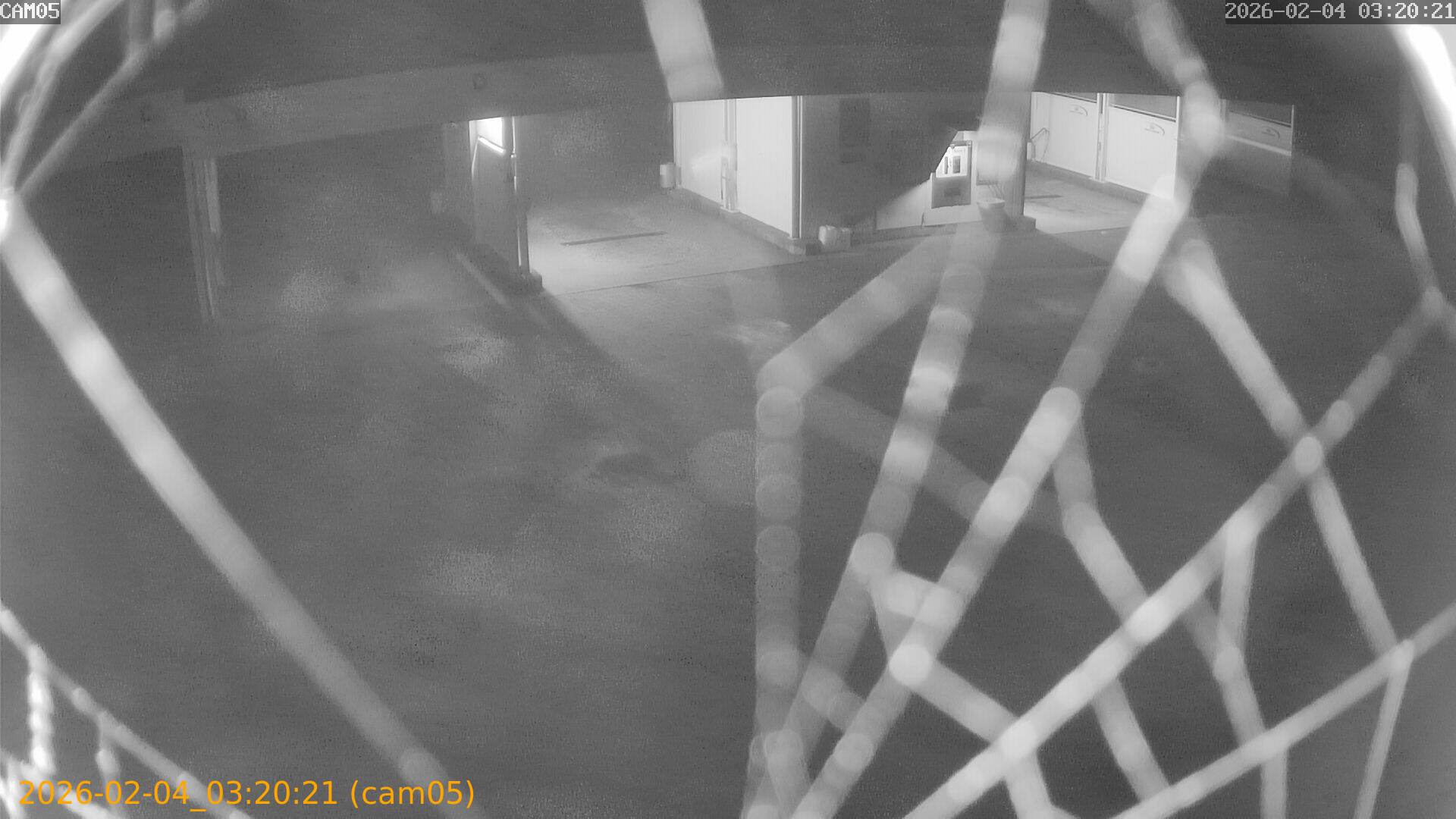 thumbnail_20260204032021