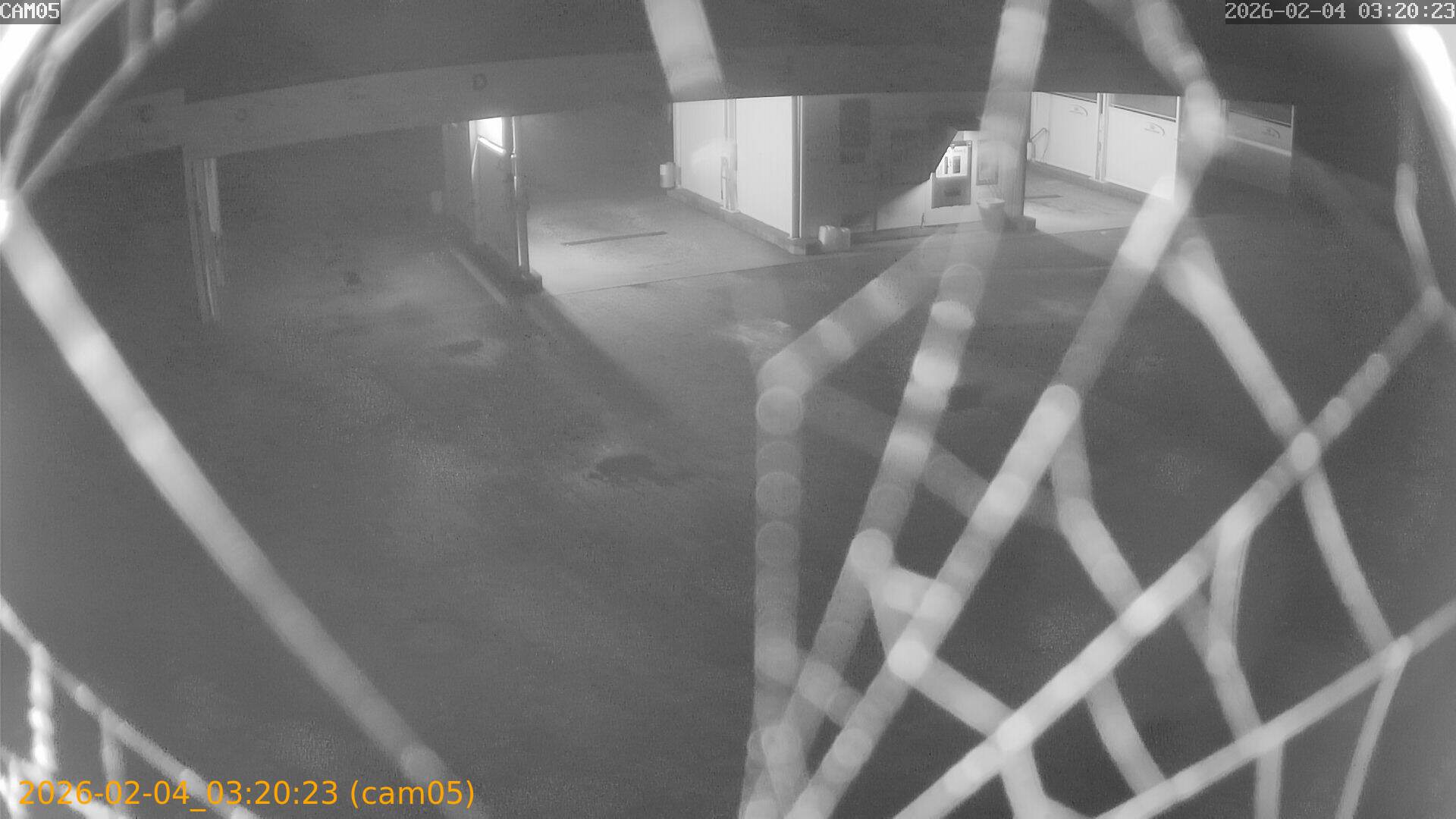 thumbnail_20260204032023