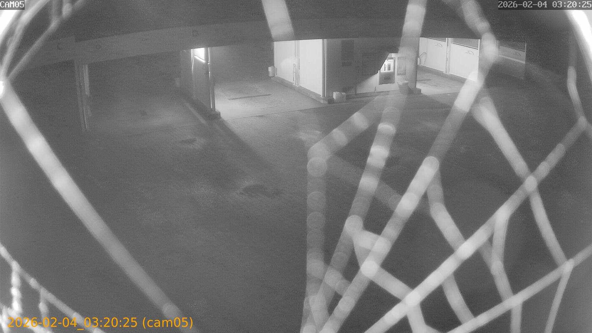 thumbnail_20260204032025