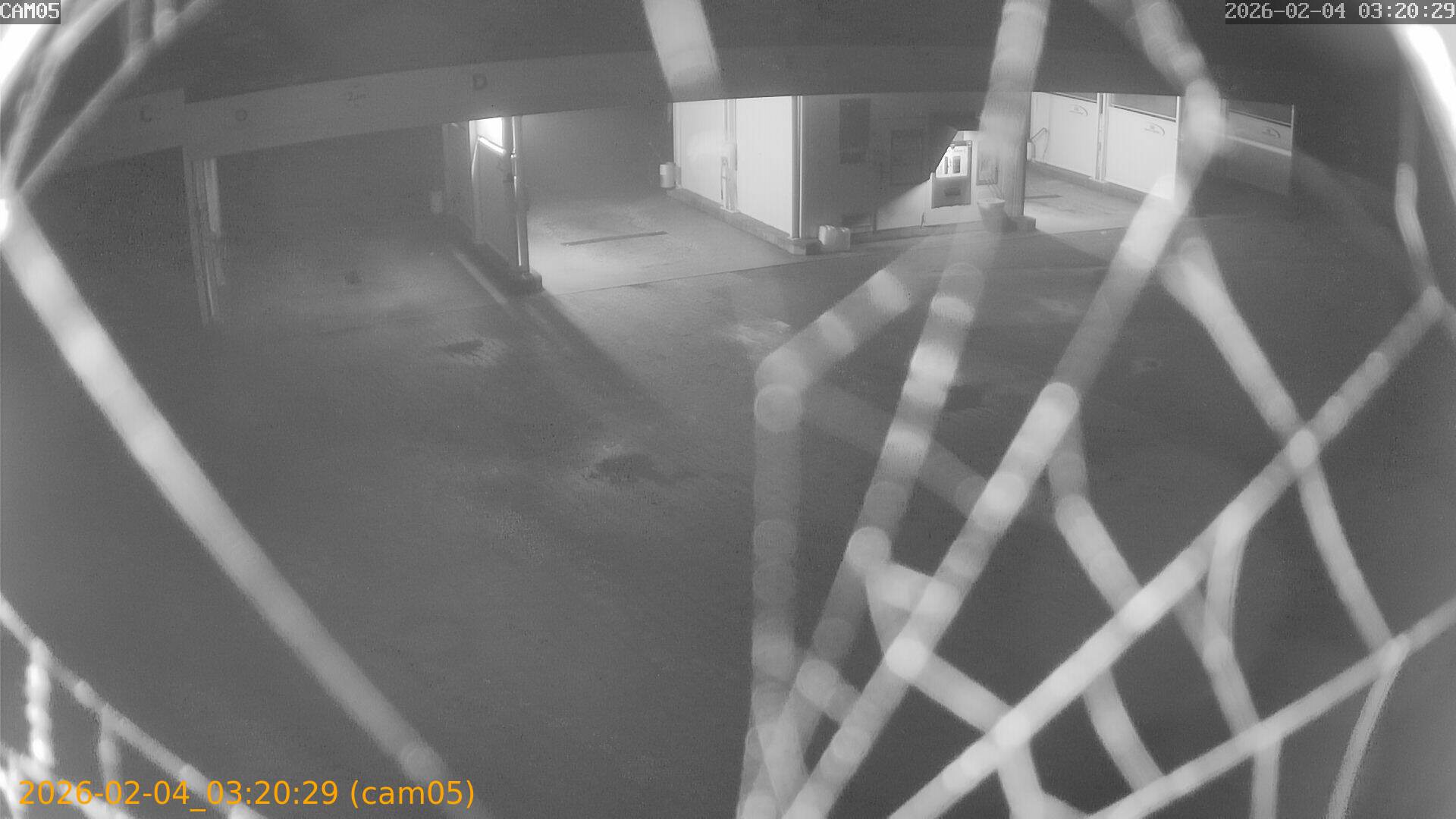 thumbnail_20260204032029