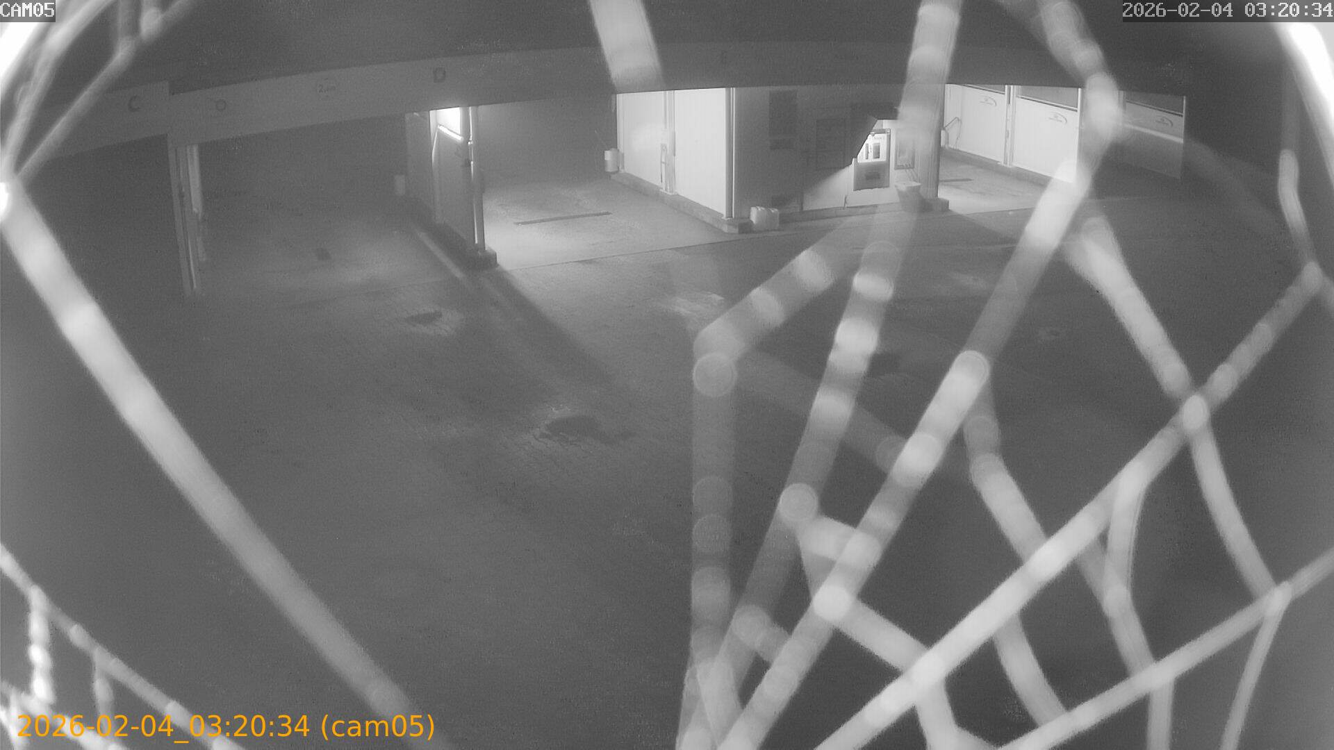 thumbnail_20260204032034